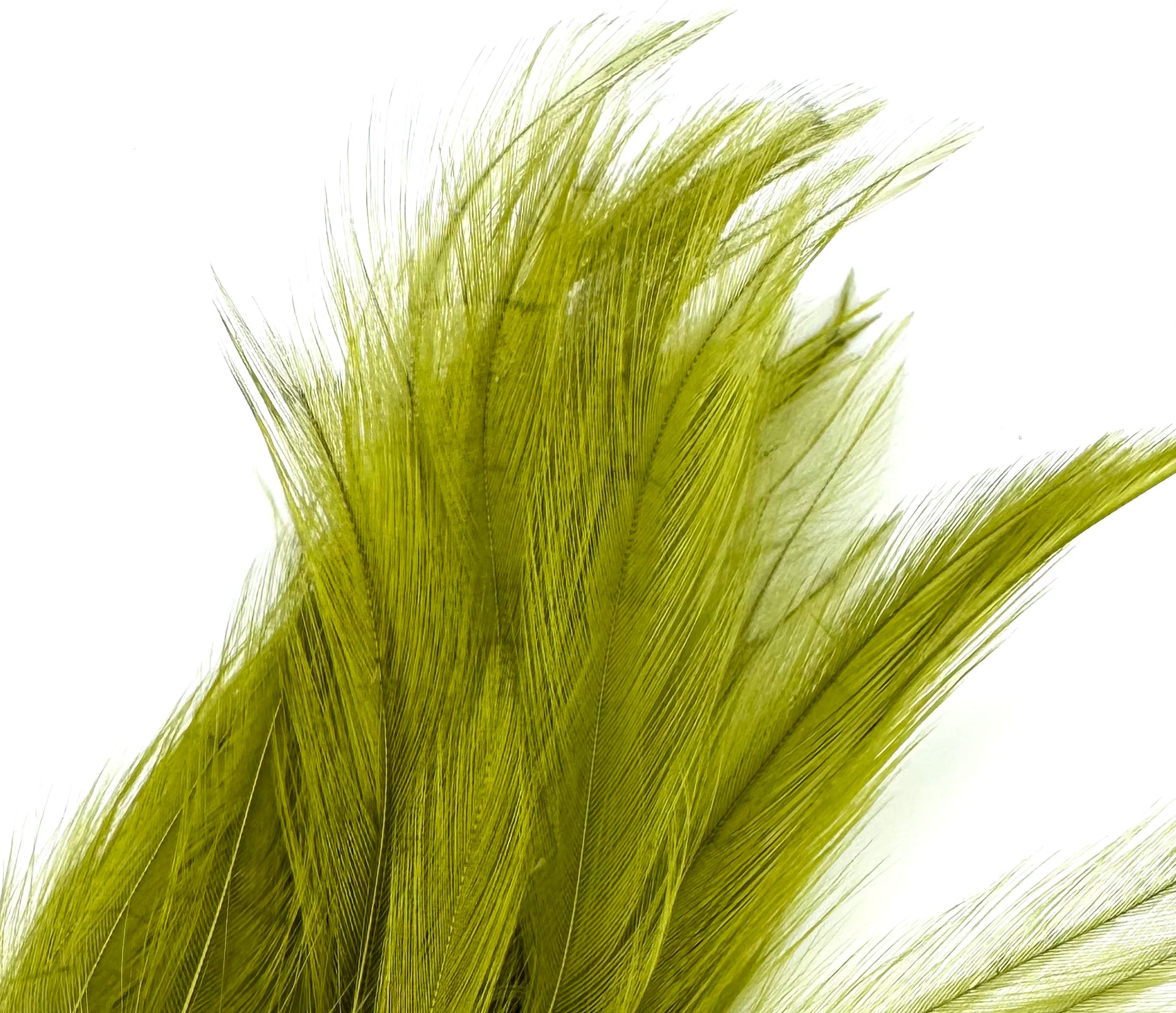 Fish Hunter Neck Hackle - fly tying material - image 9