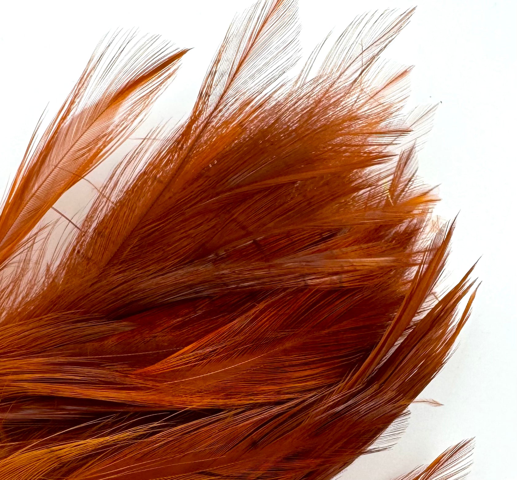 Fish Hunter Neck Hackle - fly tying material - image 10