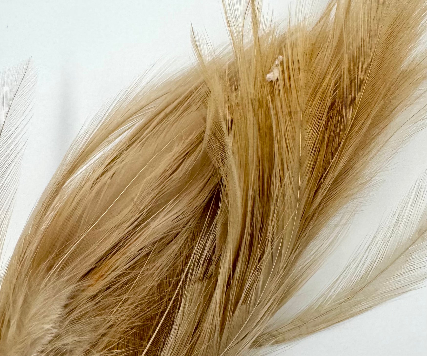 Fish Hunter Neck Hackle - fly tying material - image 11
