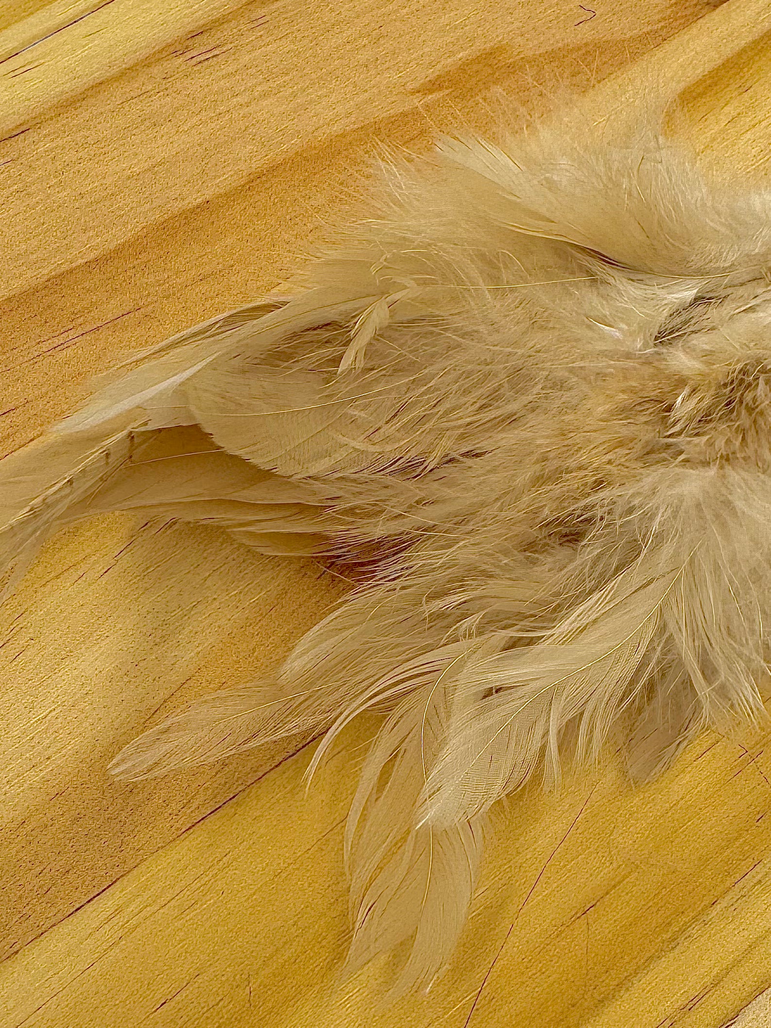 Fish Hunter Collaring Schlappen - fly tying material - image 4