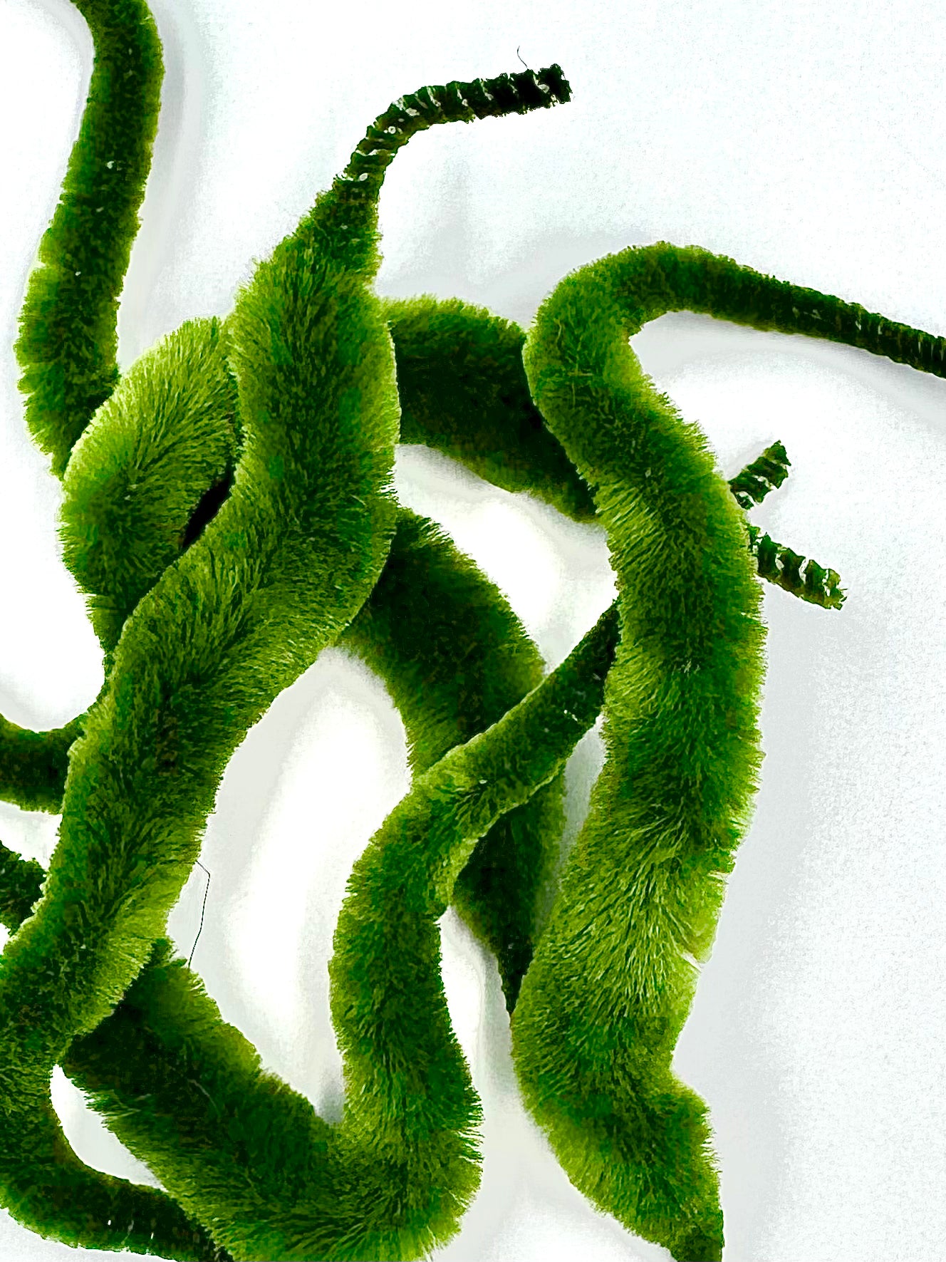 Mini Dragon Tails - fly tying material - image 6