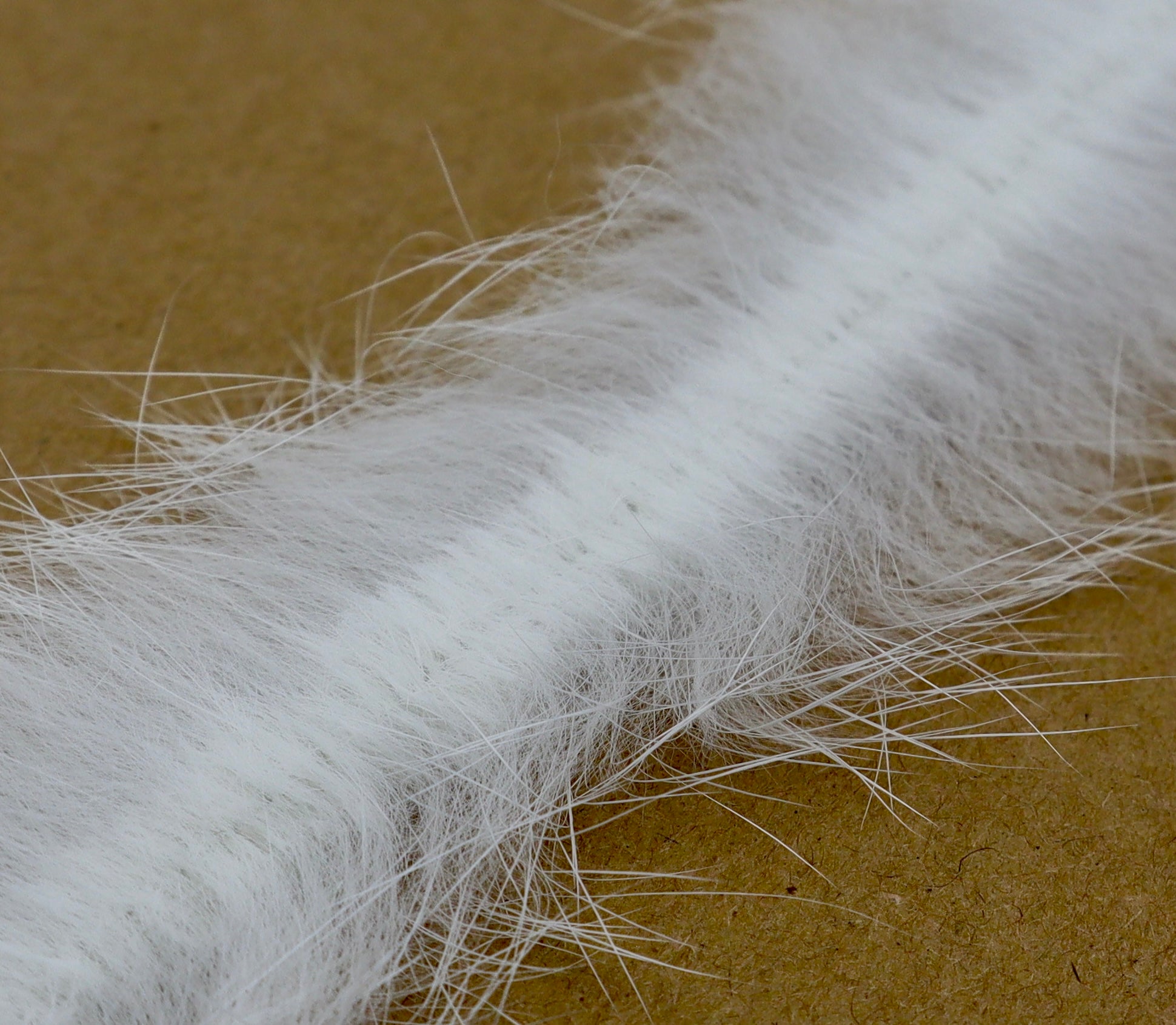 MFC Bunny Brush
