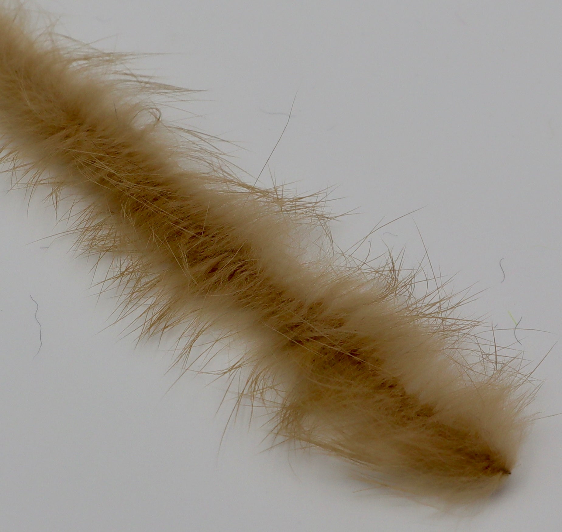 MFC Bunny Brush