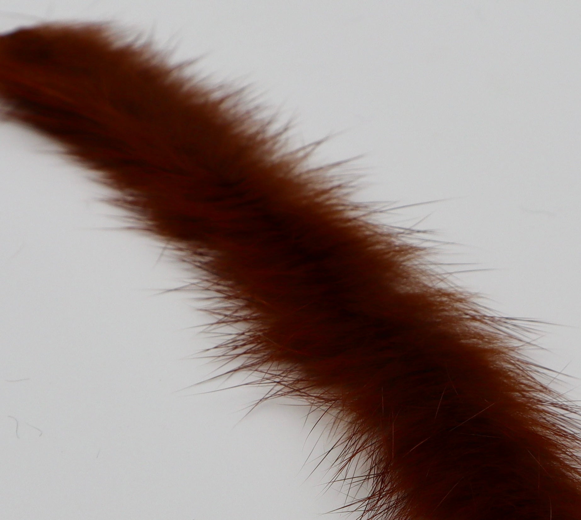 MFC Bunny Brush