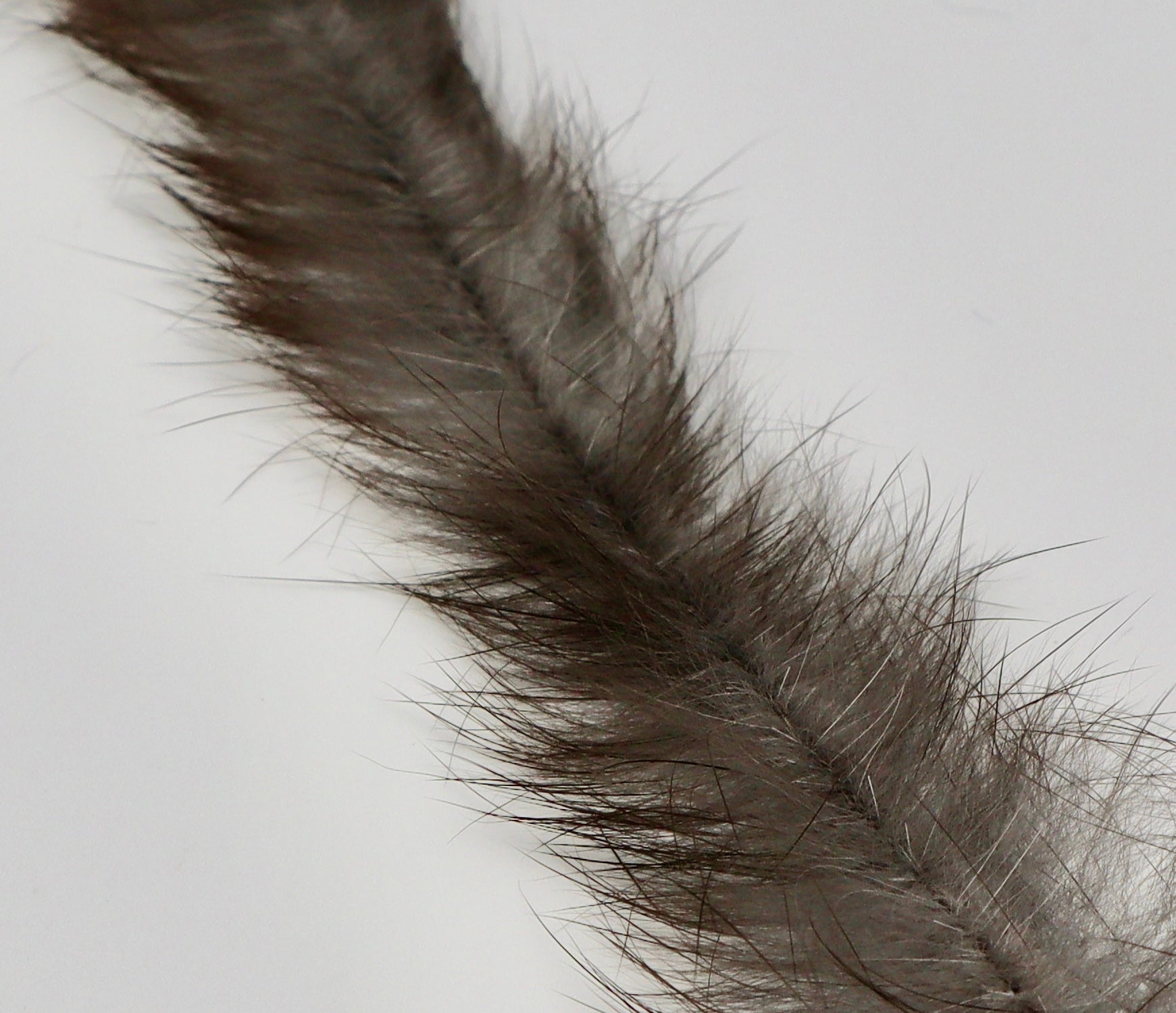 MFC Bunny Brush