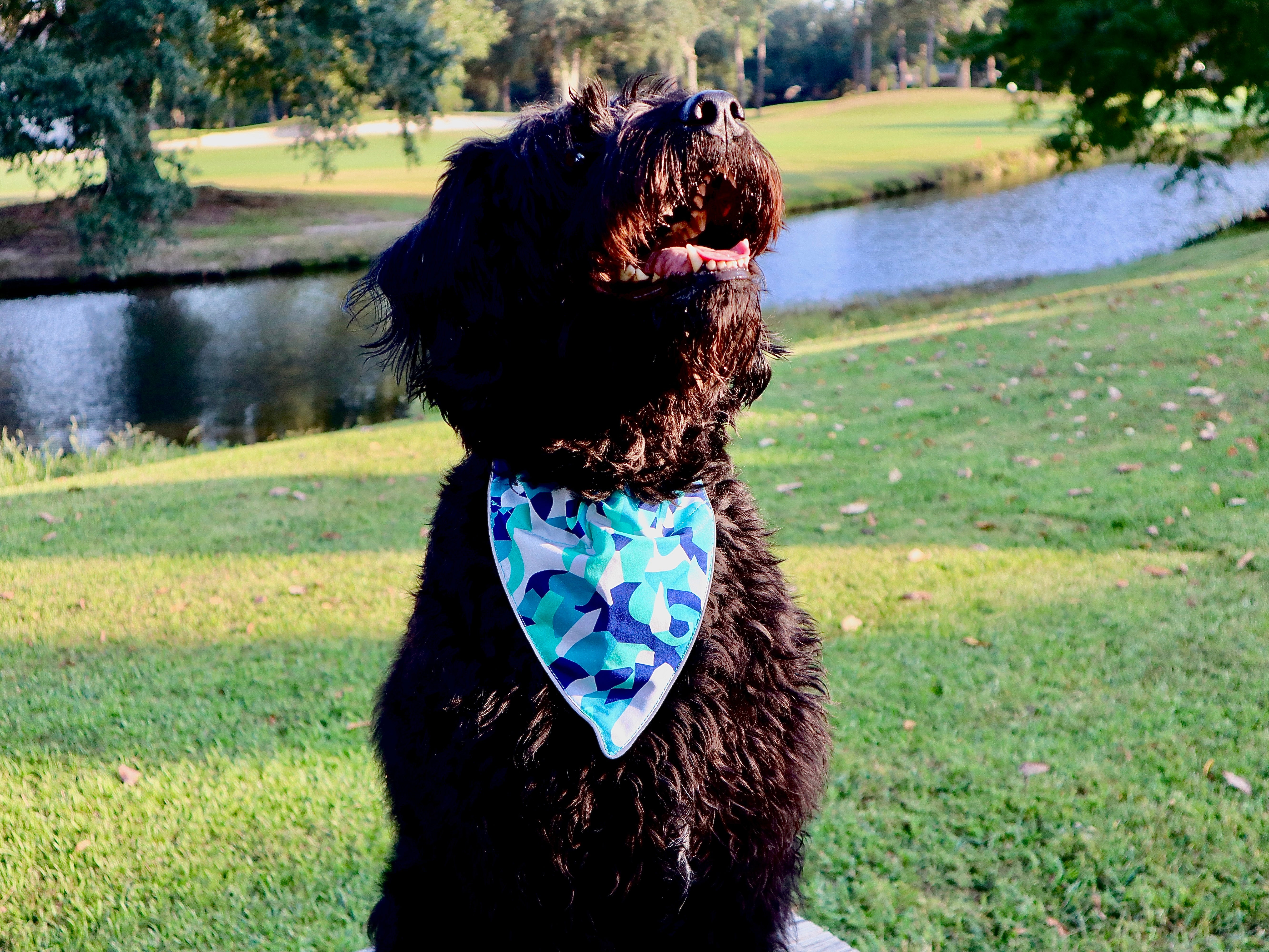 Wingo Bernie Bandana