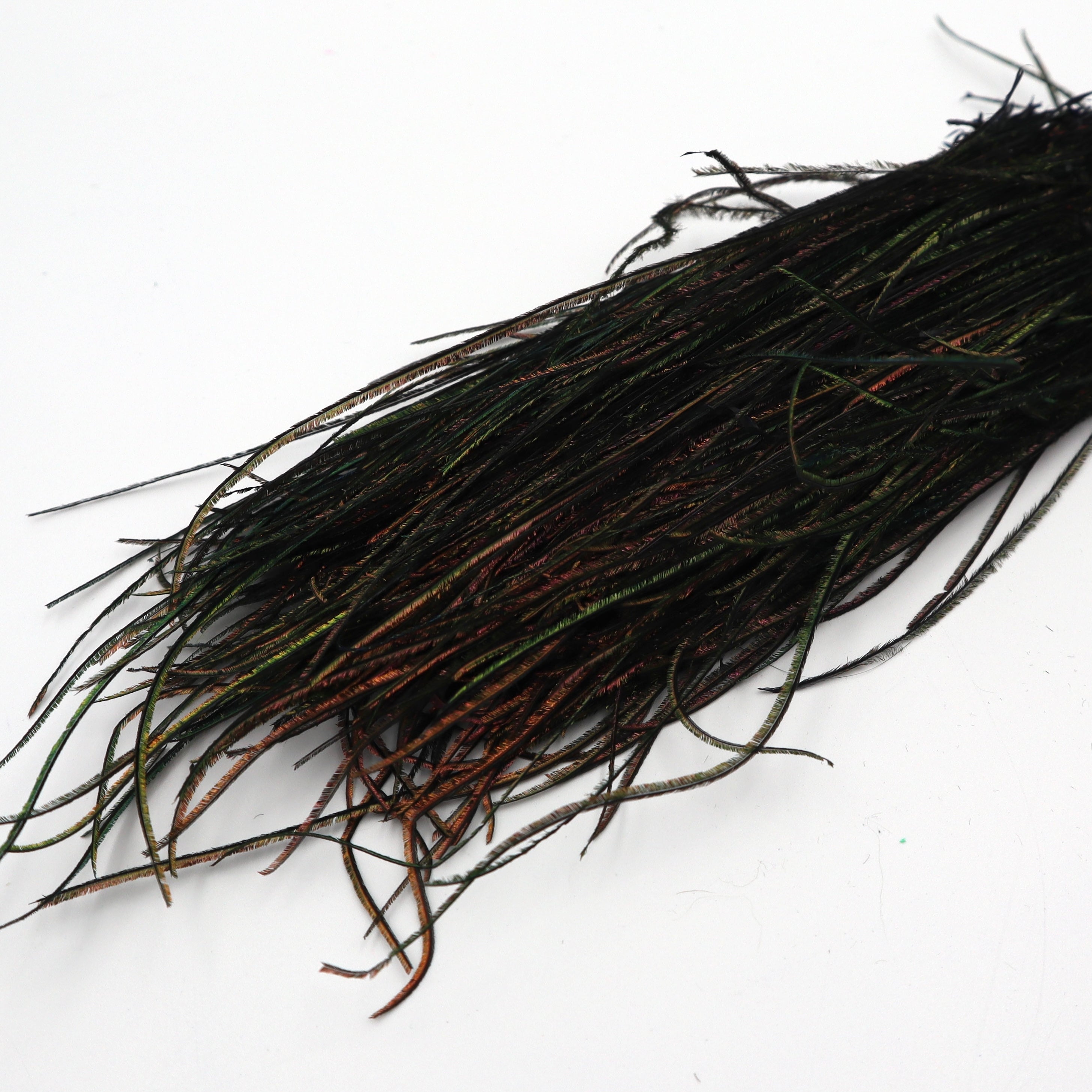 Peacock Strung Herl- Nature's Spirit