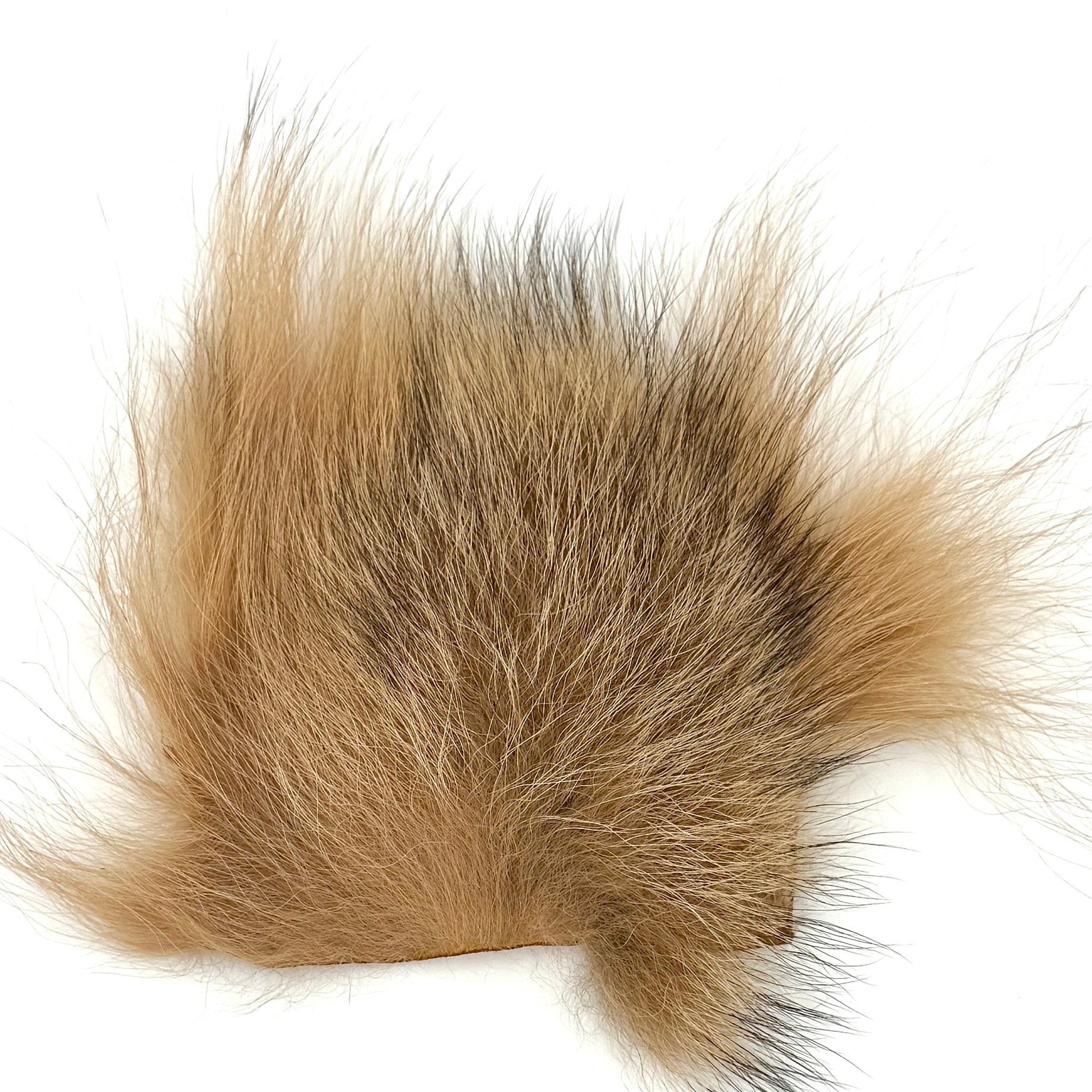Coyote Hair Patch by The Fly Hair Co. - fly tying material - image 4