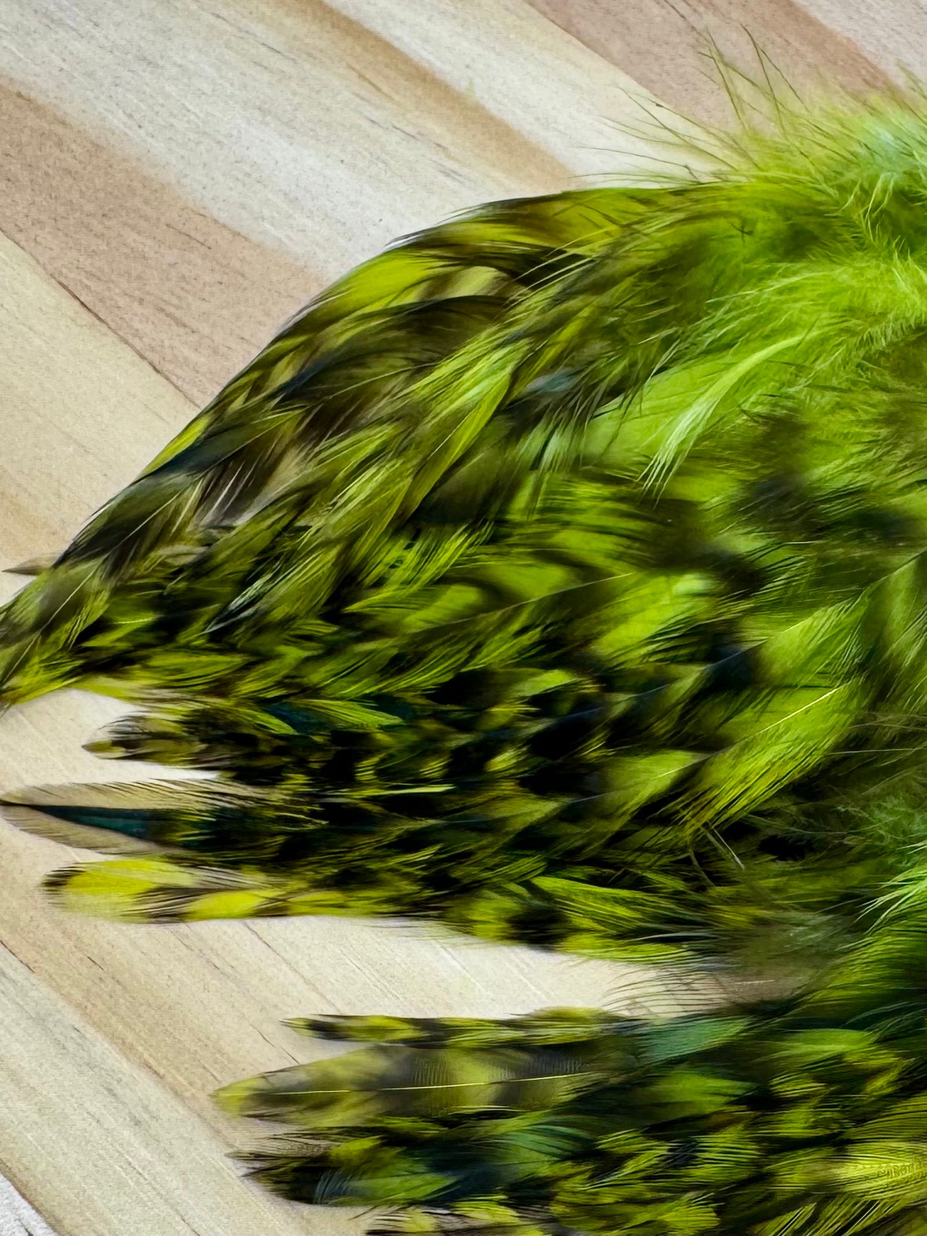 Strung Variant Saddle- Nature's Spirit - fly tying material - image 12