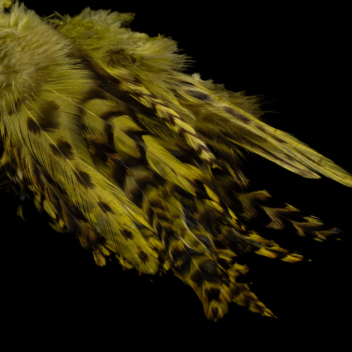 Strung Variant Saddle- Nature's Spirit - fly tying material - image 3