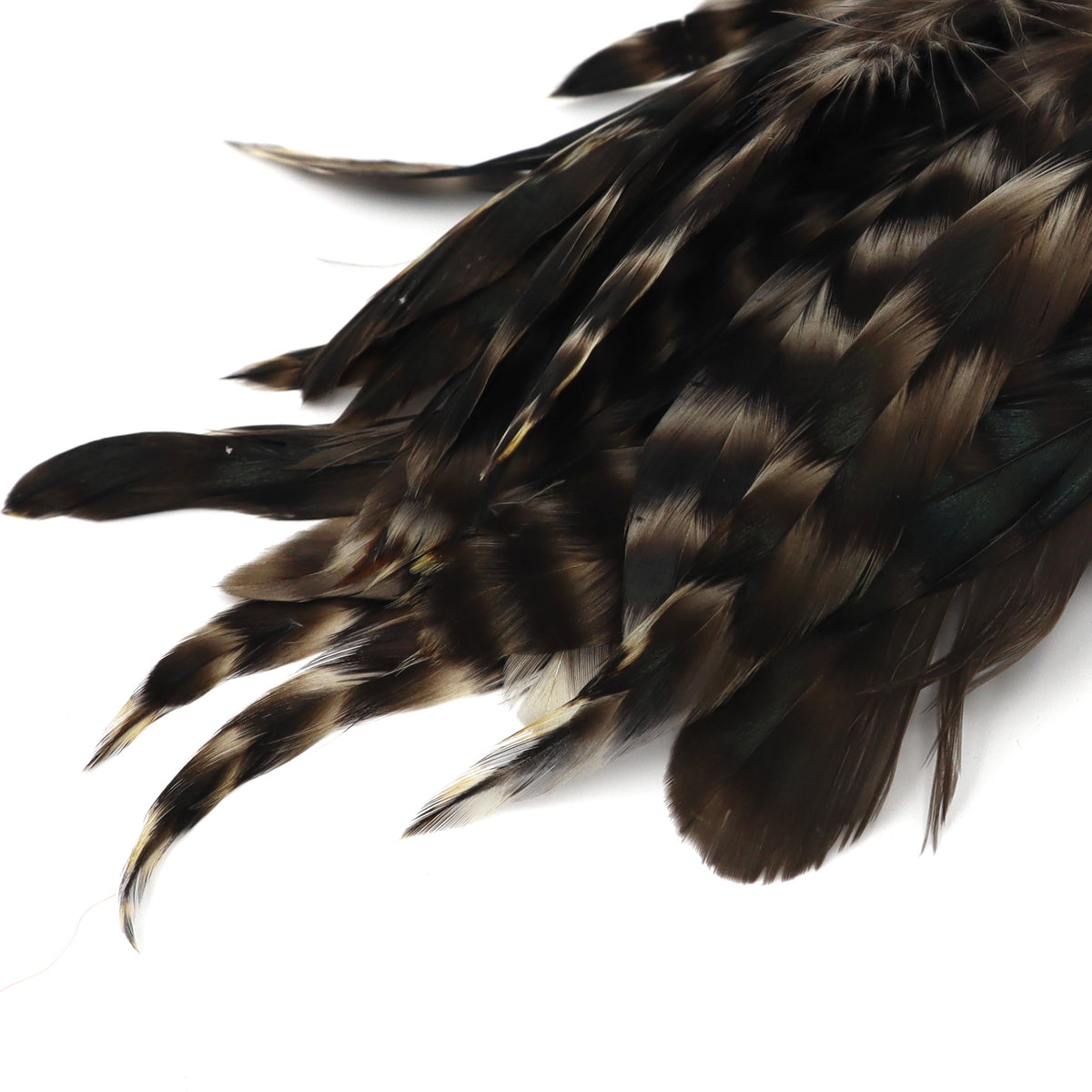 Grizzly Variant Schlappen- Nature's Spirit - fly tying material - image 15