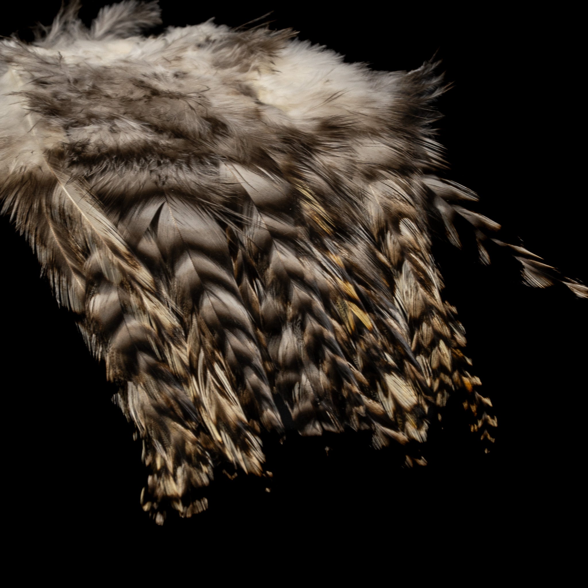 Strung Variant Saddle- Nature's Spirit - fly tying material - image 4