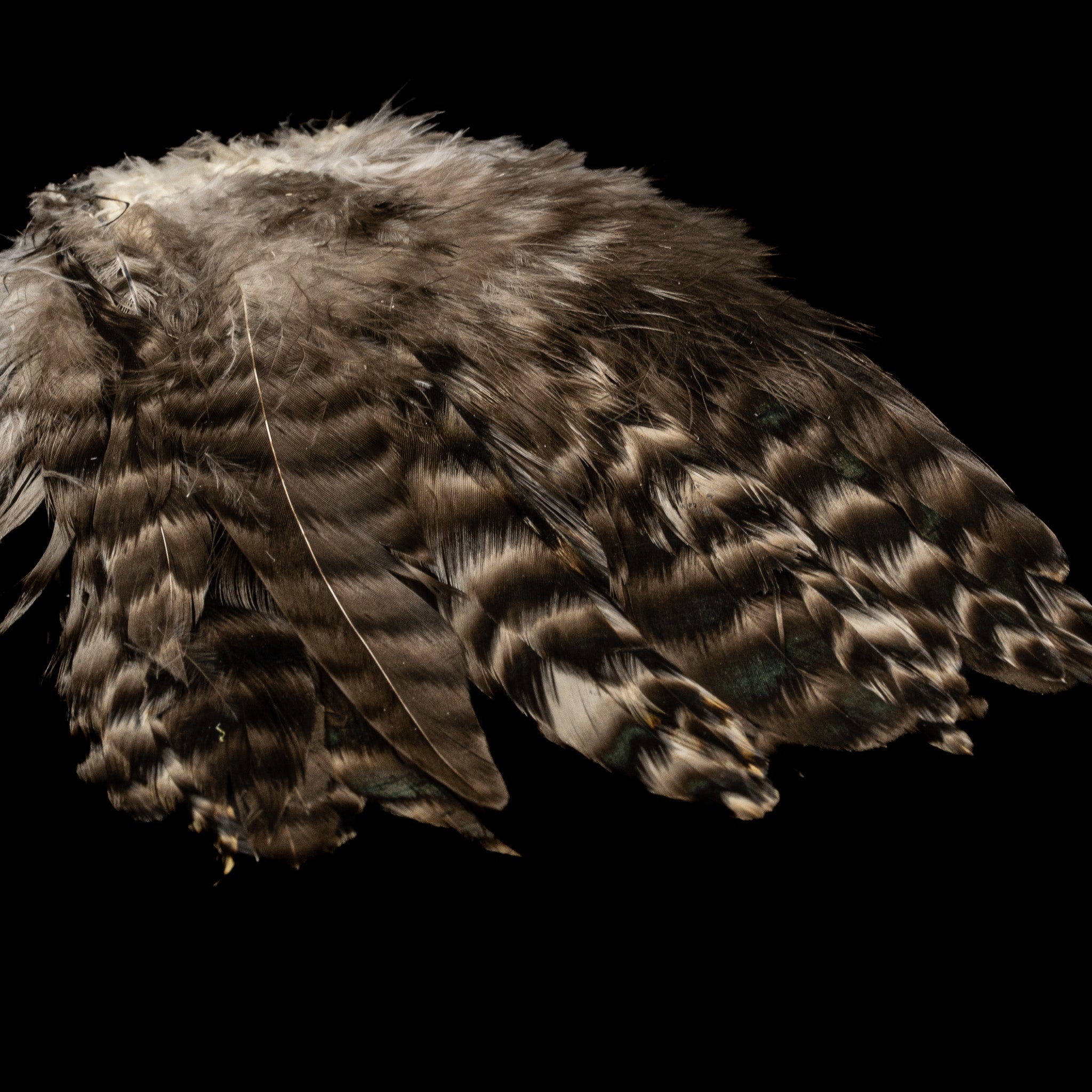 Grizzly Variant Schlappen- Nature's Spirit