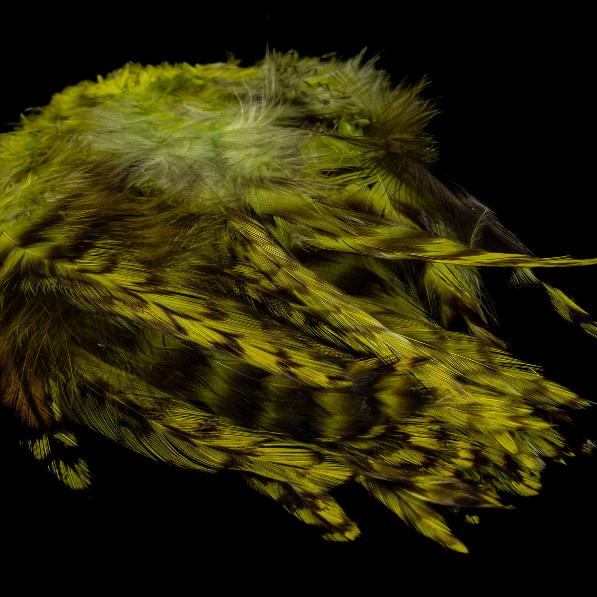 Strung Variant Saddle- Nature's Spirit - fly tying material - image 5