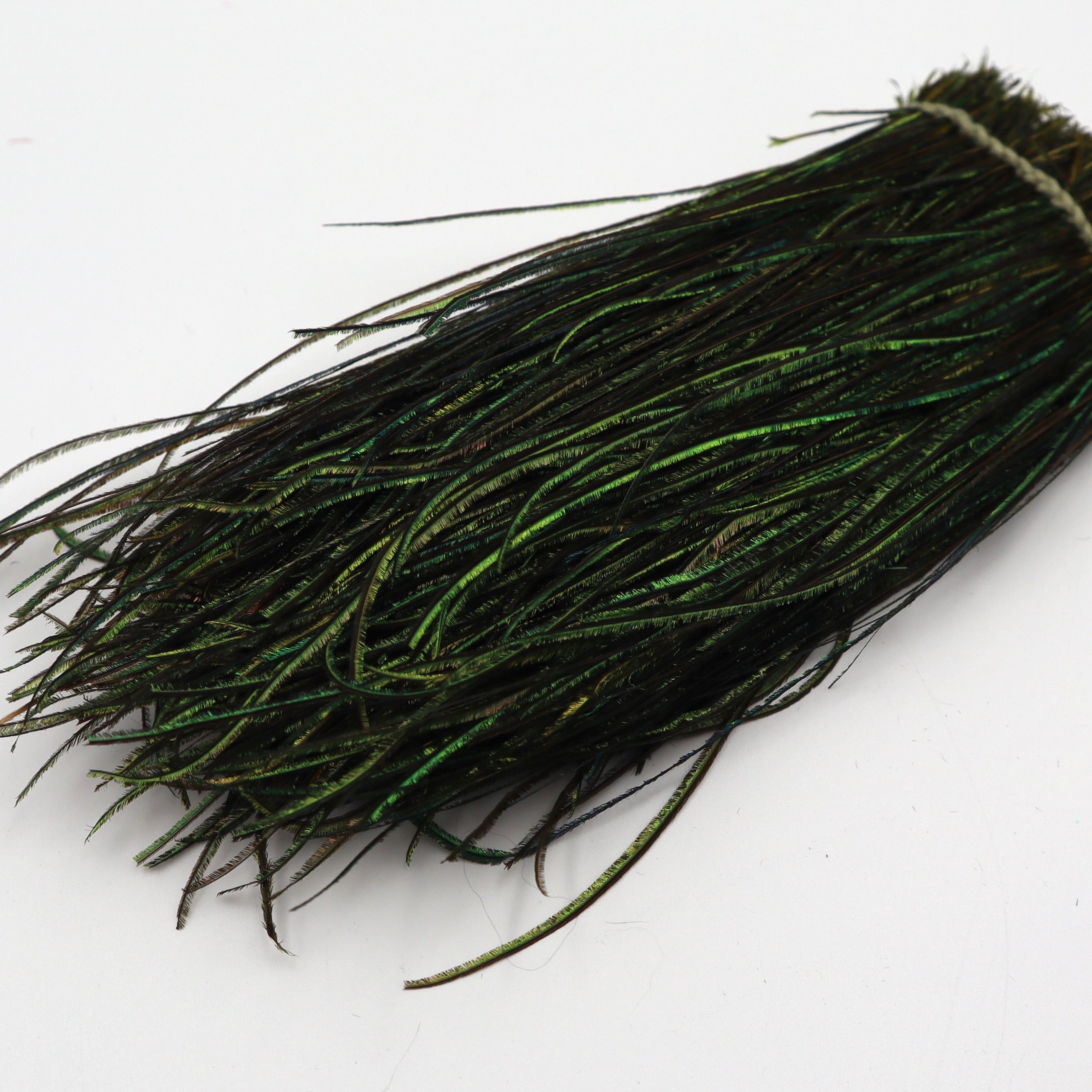 Peacock Strung Herl- Nature's Spirit