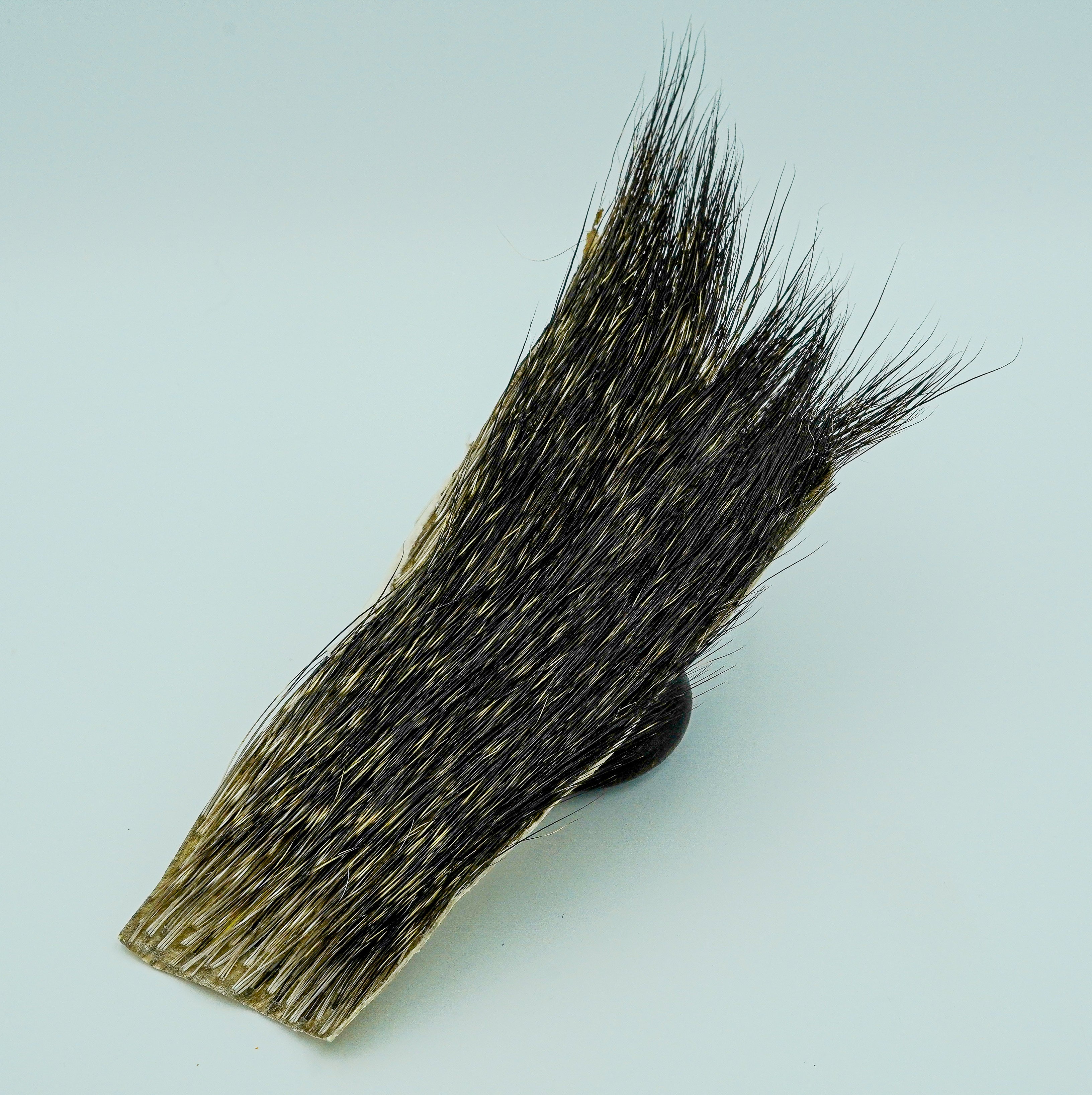 Peccary Hair – The Fly Hair Co.