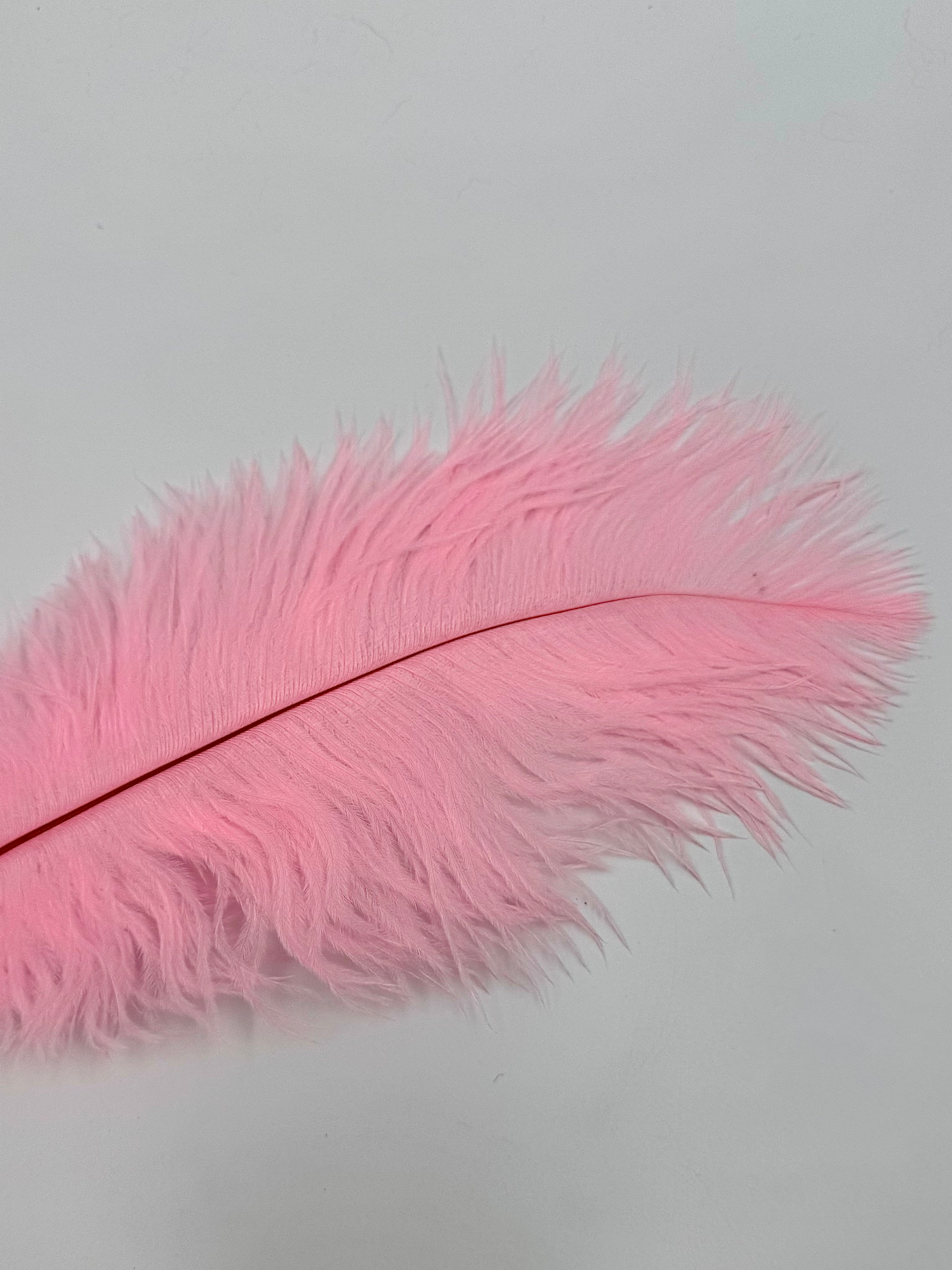 Ostrich Plume (10-12")- Nature's Spirit - fly tying material - image 4