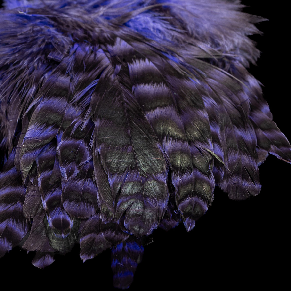 Grizzly Variant Schlappen- Nature's Spirit - fly tying material - image 5
