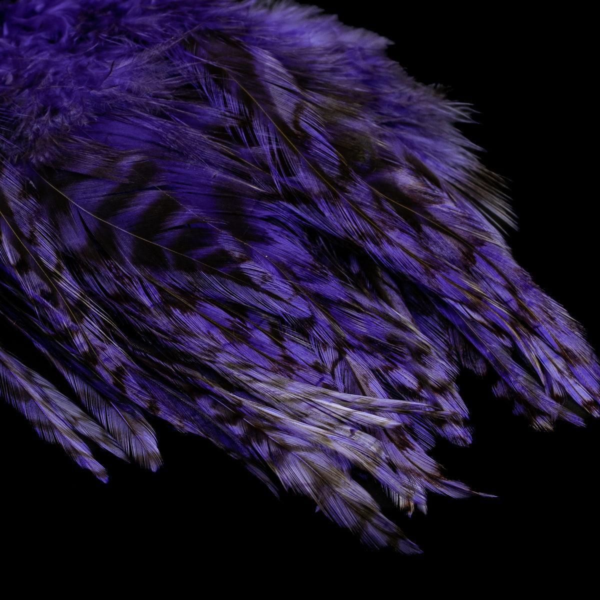 Strung Variant Saddle- Nature's Spirit - fly tying material - image 6