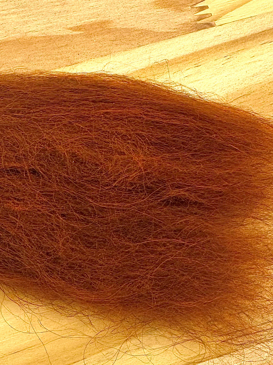 Icelandic Sheep Hair - Nature's Spirit