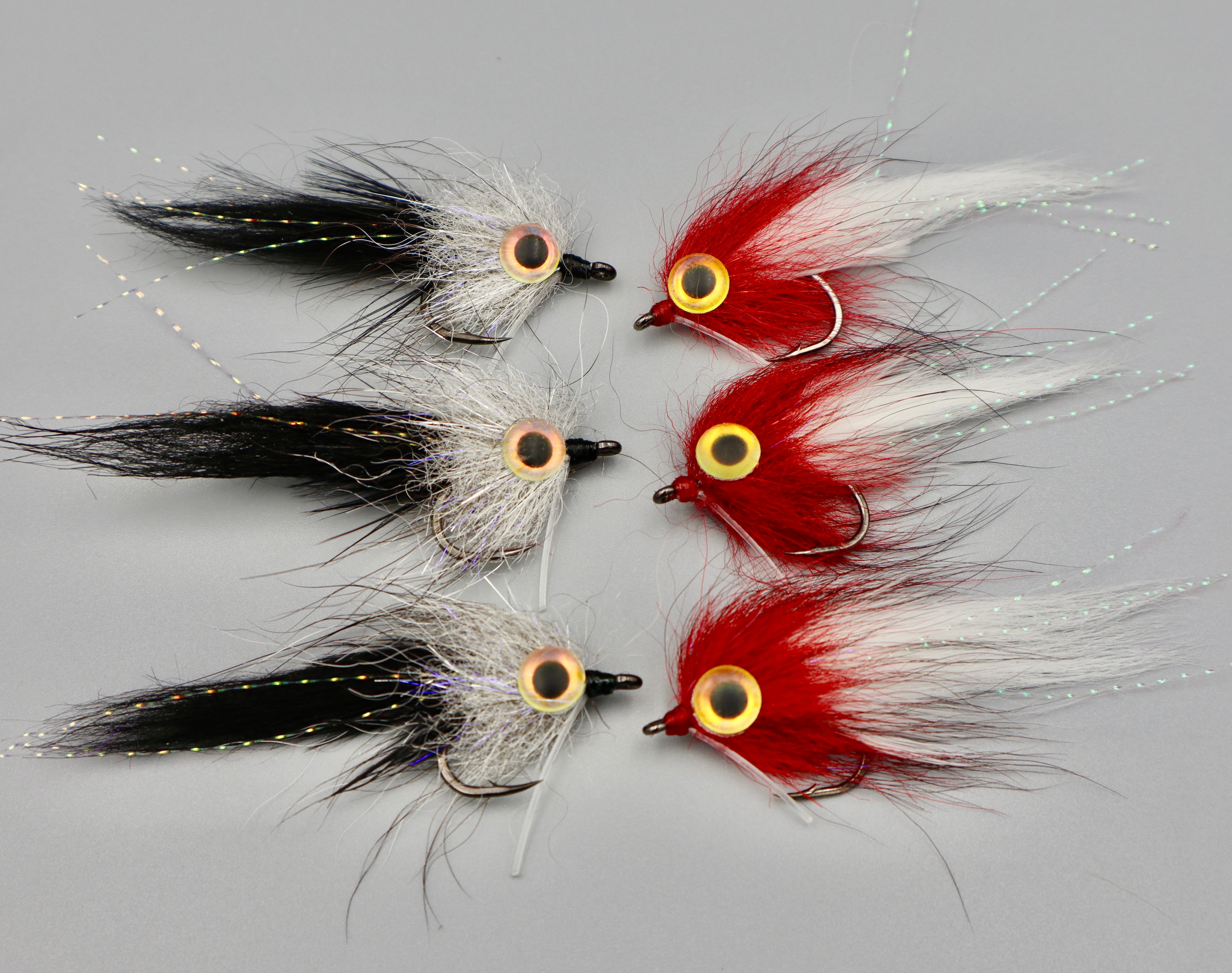 Rockport Mullet- Sight Cast