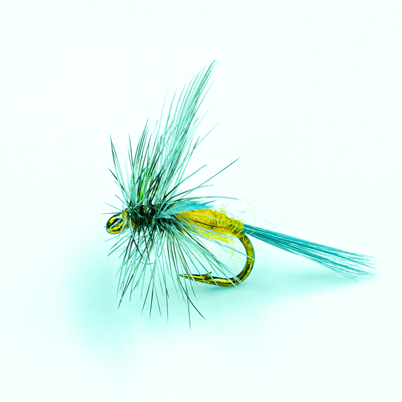 Sulphur Dun- Finatics Fly Company
