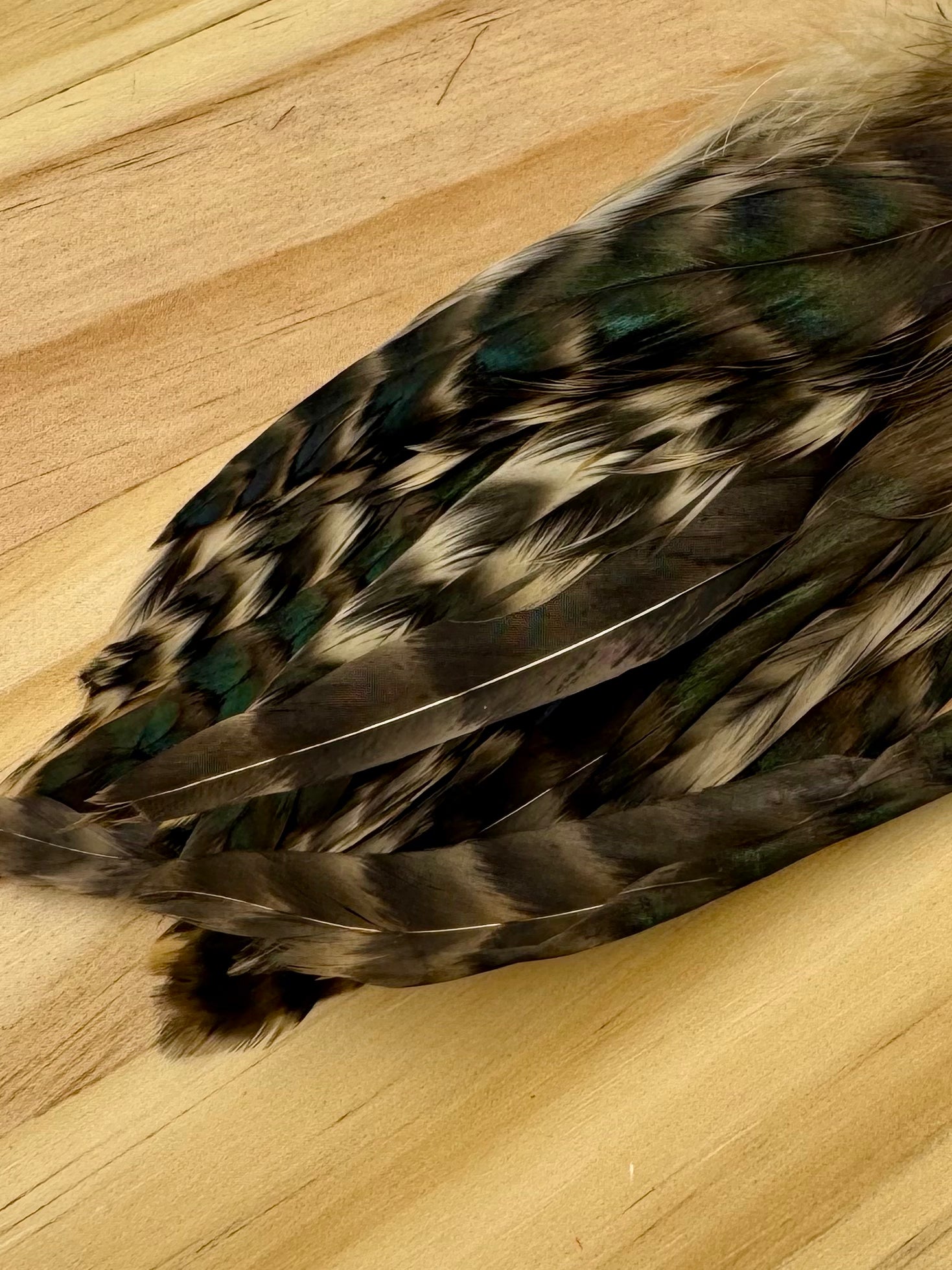 Grizzly Variant Schlappen- Nature's Spirit - fly tying material - image 16
