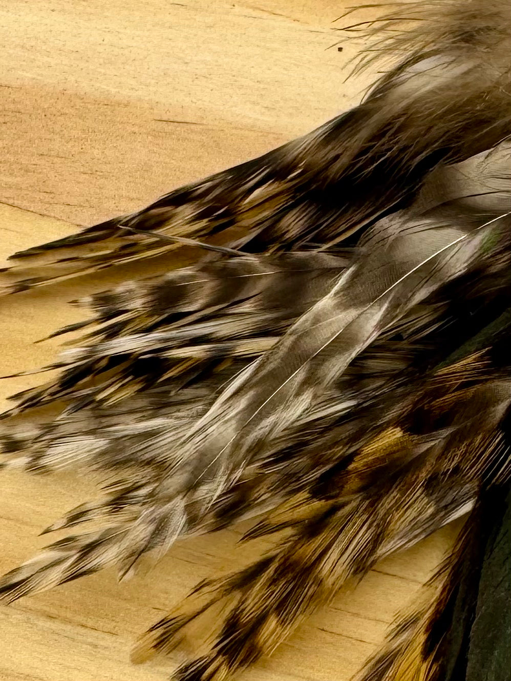 Strung Variant Saddle- Nature's Spirit - fly tying material - image 9