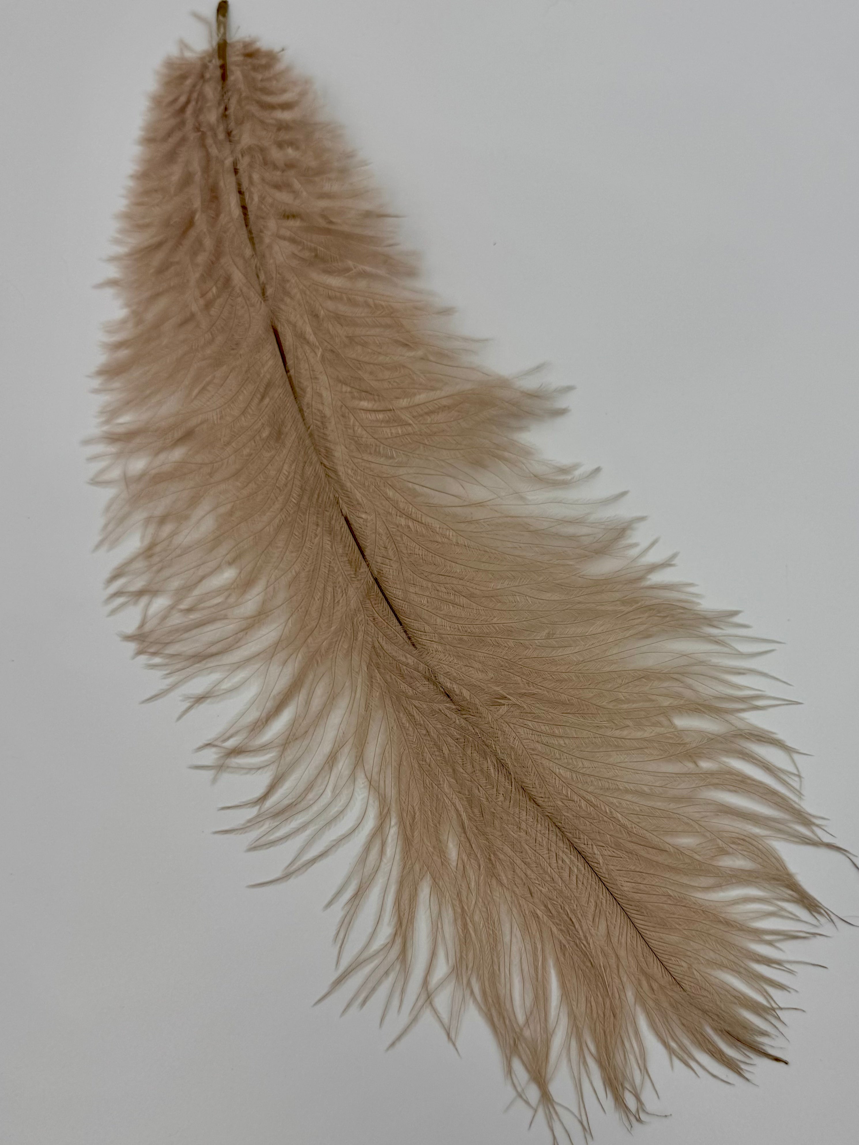 Ostrich Plume (10-12")- Nature's Spirit - fly tying material - image 5