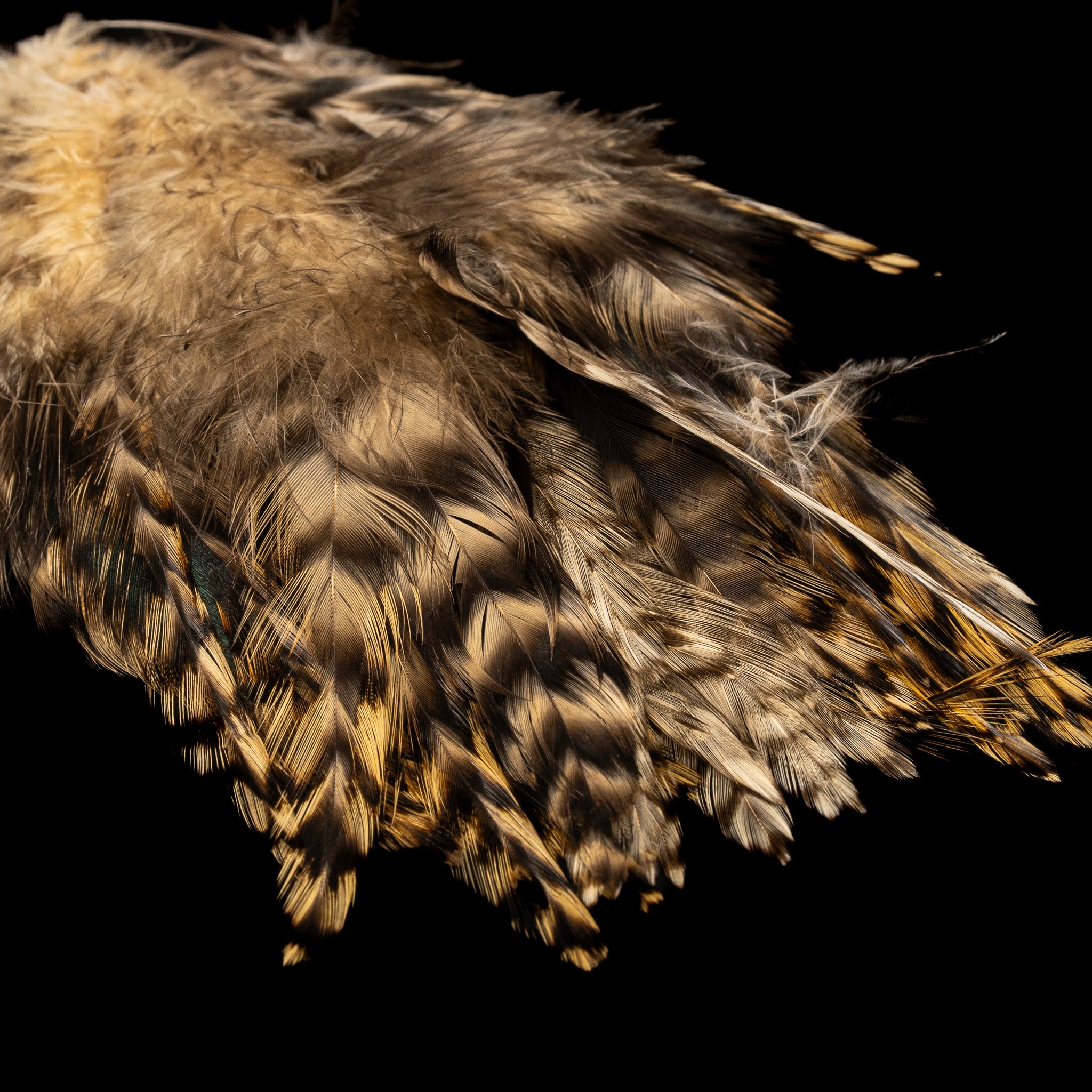 Strung Variant Saddle- Nature's Spirit - fly tying material - image 7
