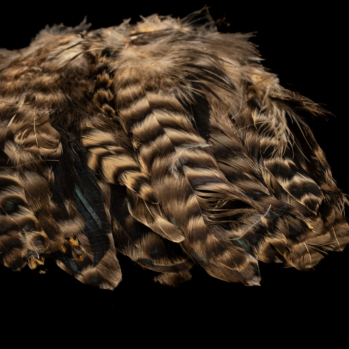 Grizzly Variant Schlappen- Nature's Spirit - fly tying material - image 8