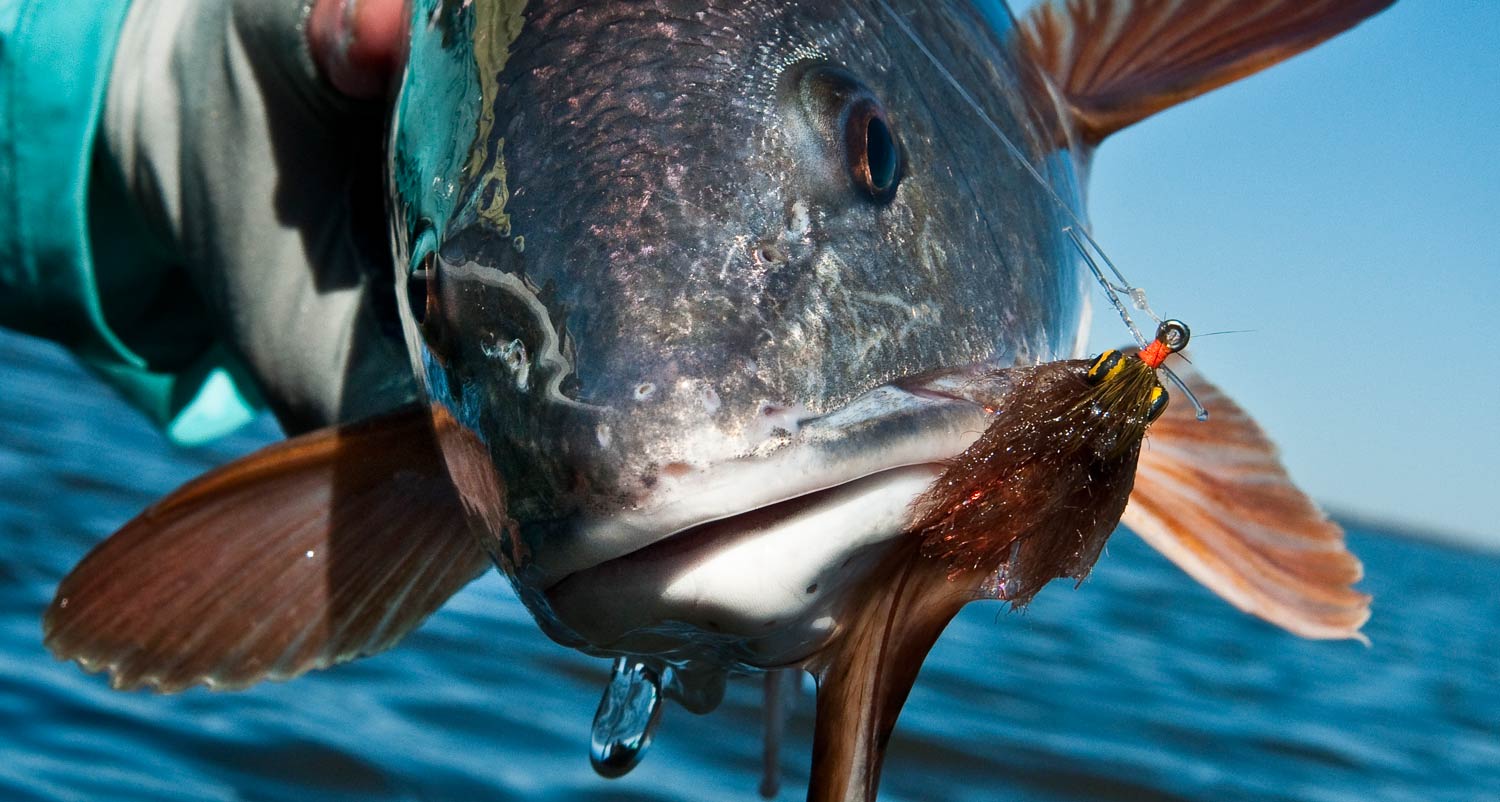 Redfish Flies