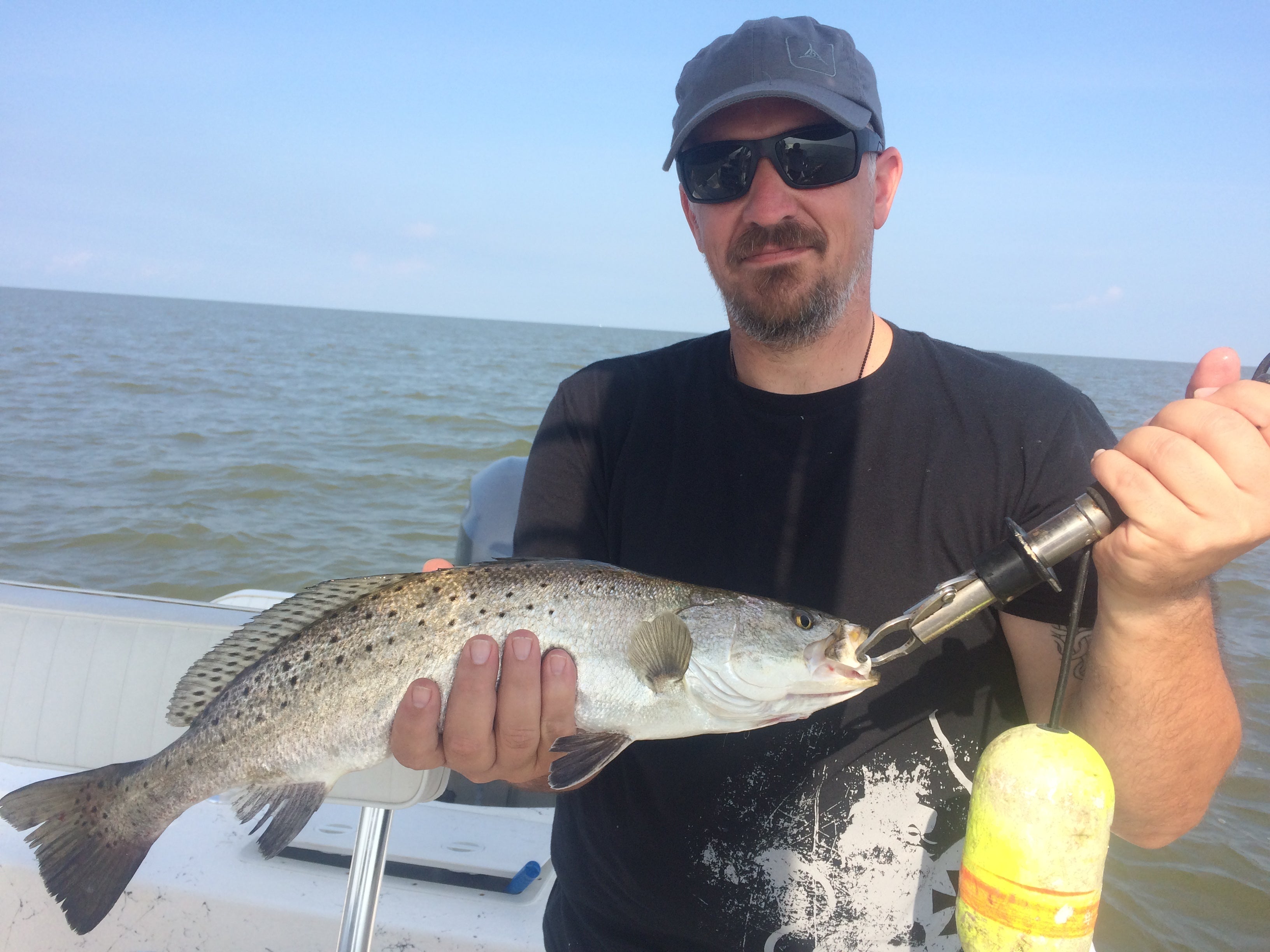 Speckled Trout