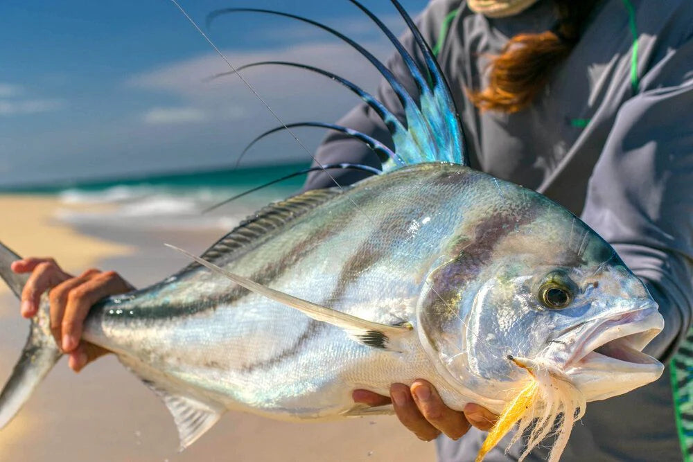 Roosterfish Flies Fly Fishing For Roosterfish Off The Beach – Jeff