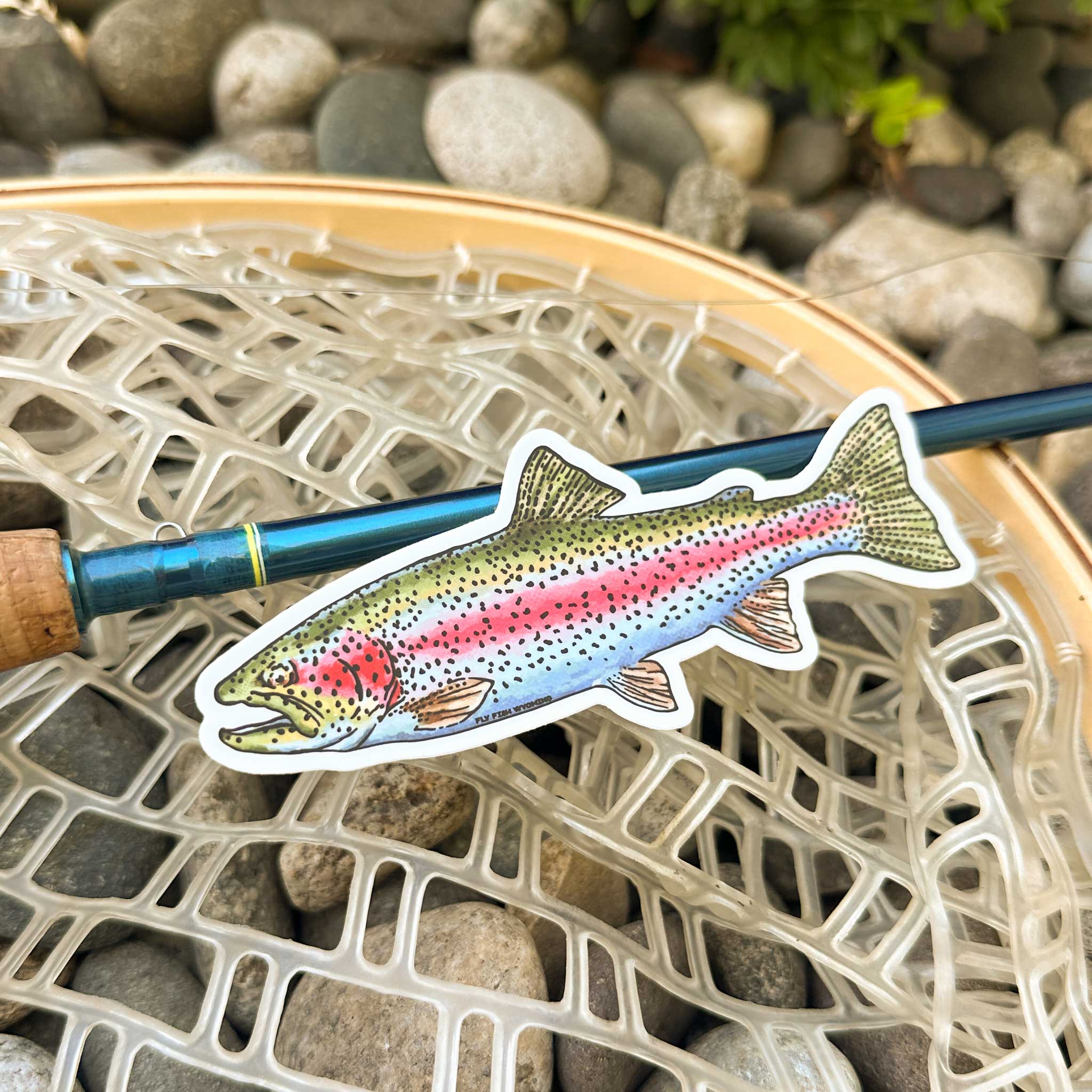 Trout Species Series - Rainbow Trout Sticker