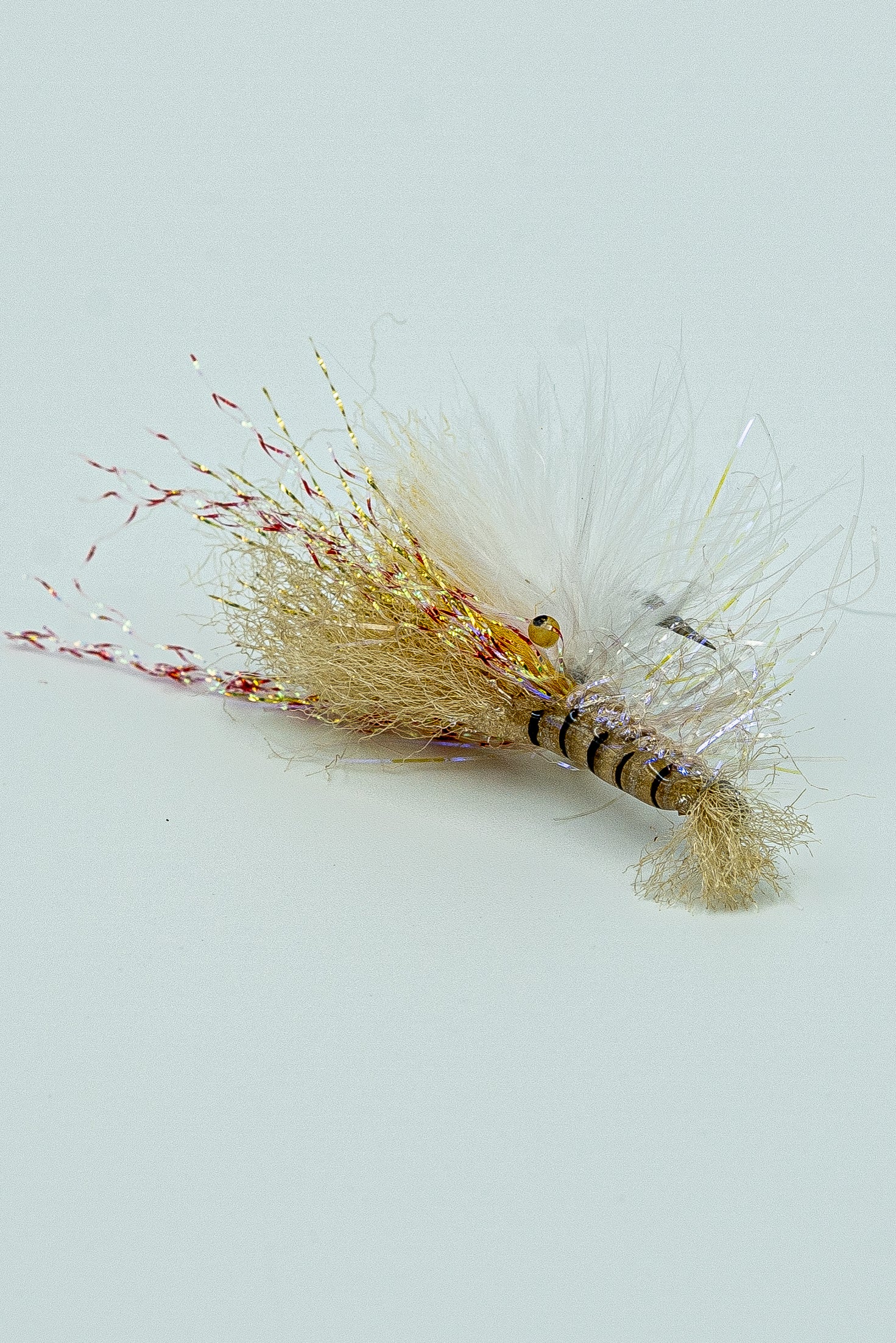 SALVINI'S ALBERTO'S SHRIMP