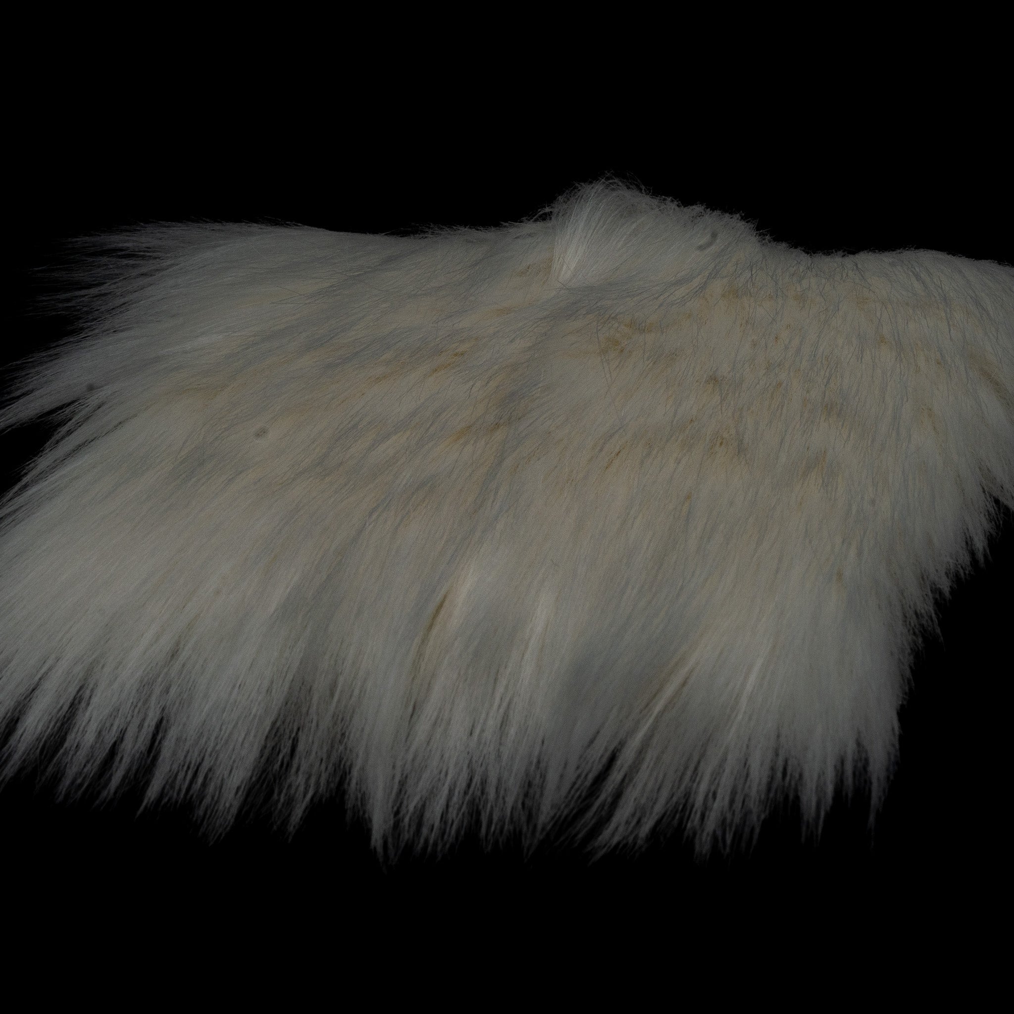 Cajun Short Craft Fur– Finatics Fly Company