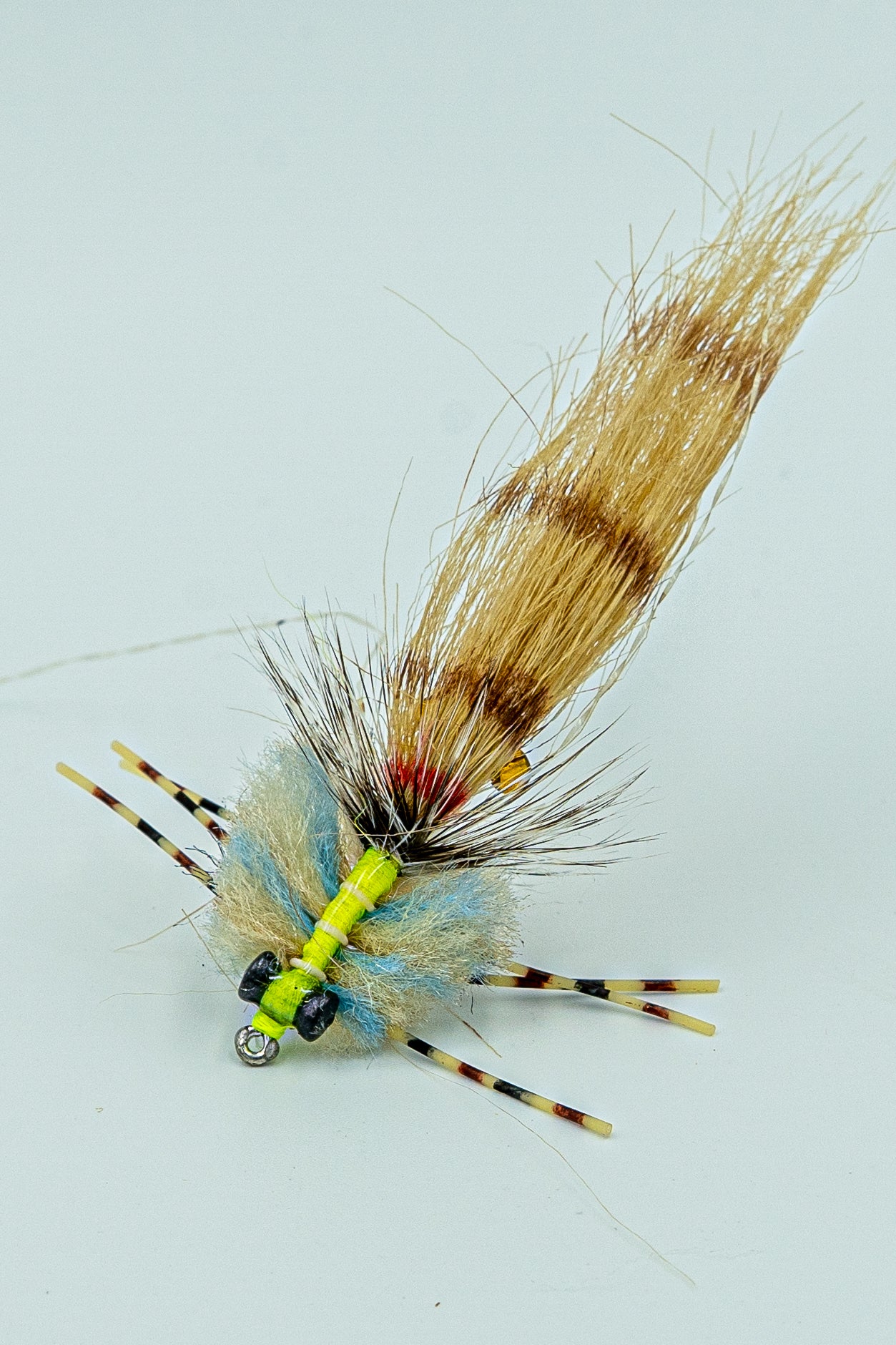 COLBY'S CORONA CRAB