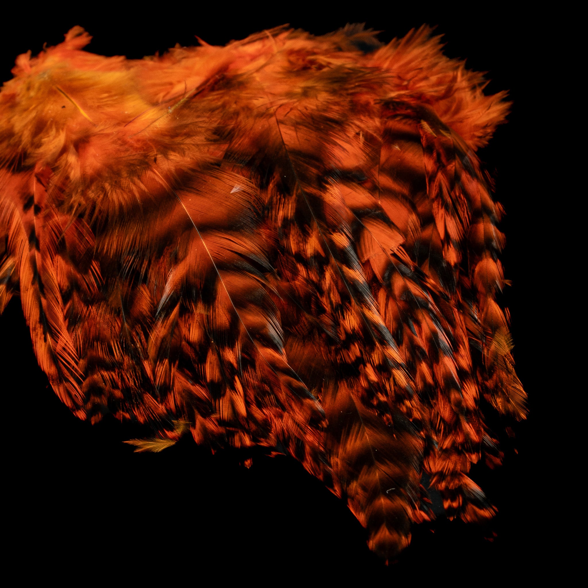 Strung Variant Saddle- Nature's Spirit