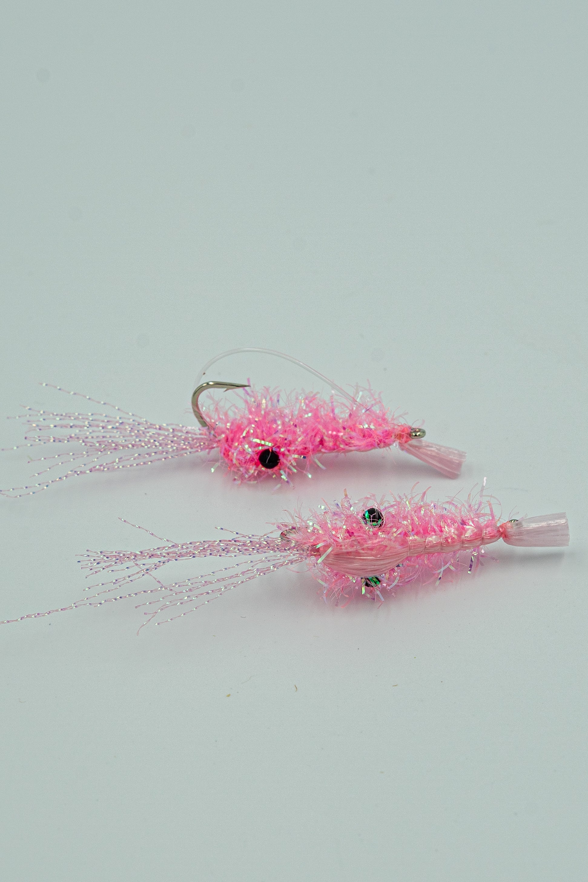 CRYSTAL SHRIMP