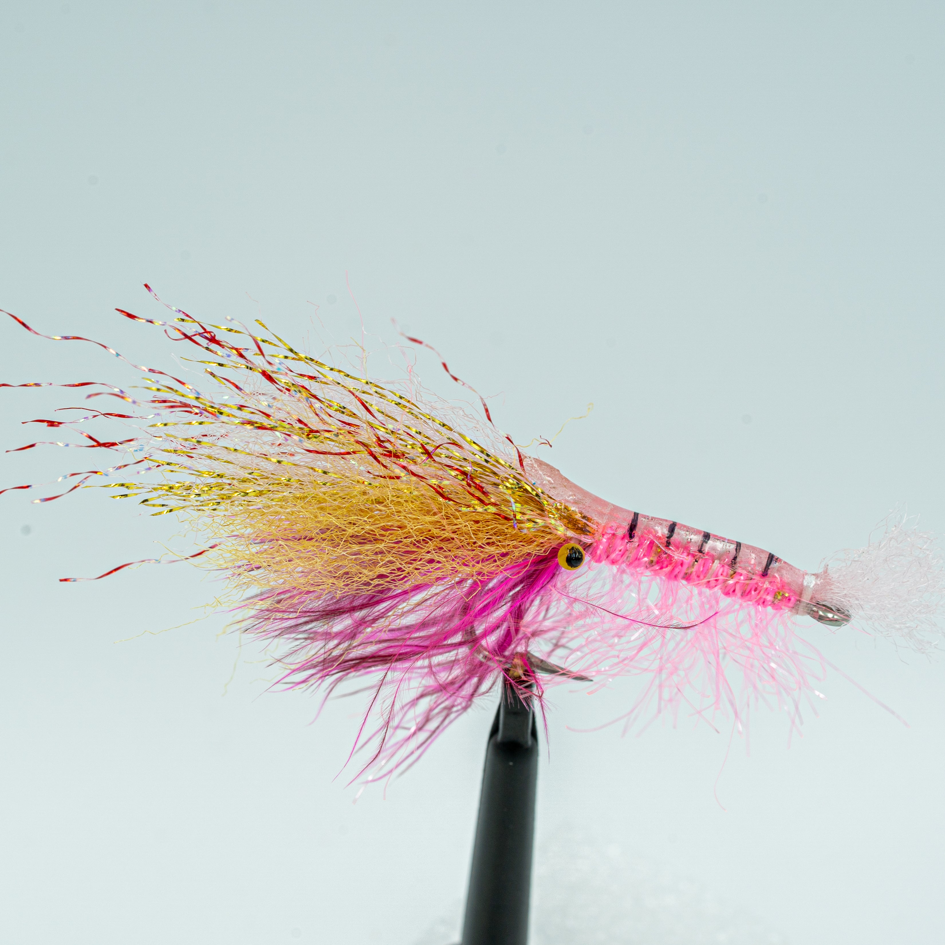 Salvini’s Alberto’s Shrimp – Finatics Fly Company