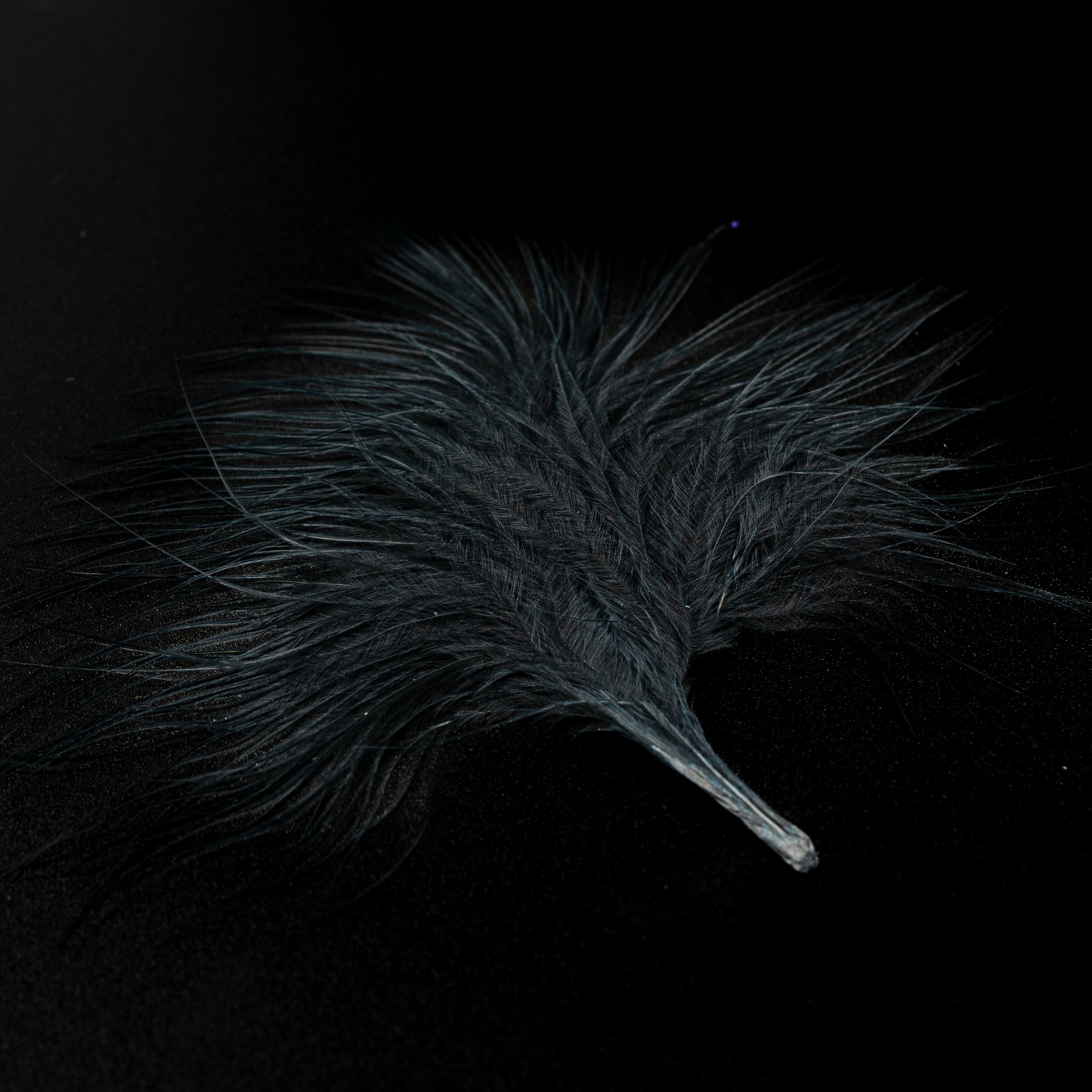 Finatics Premium Loose Marabou – 3" to 5" Plumes- Finatics Fly Company