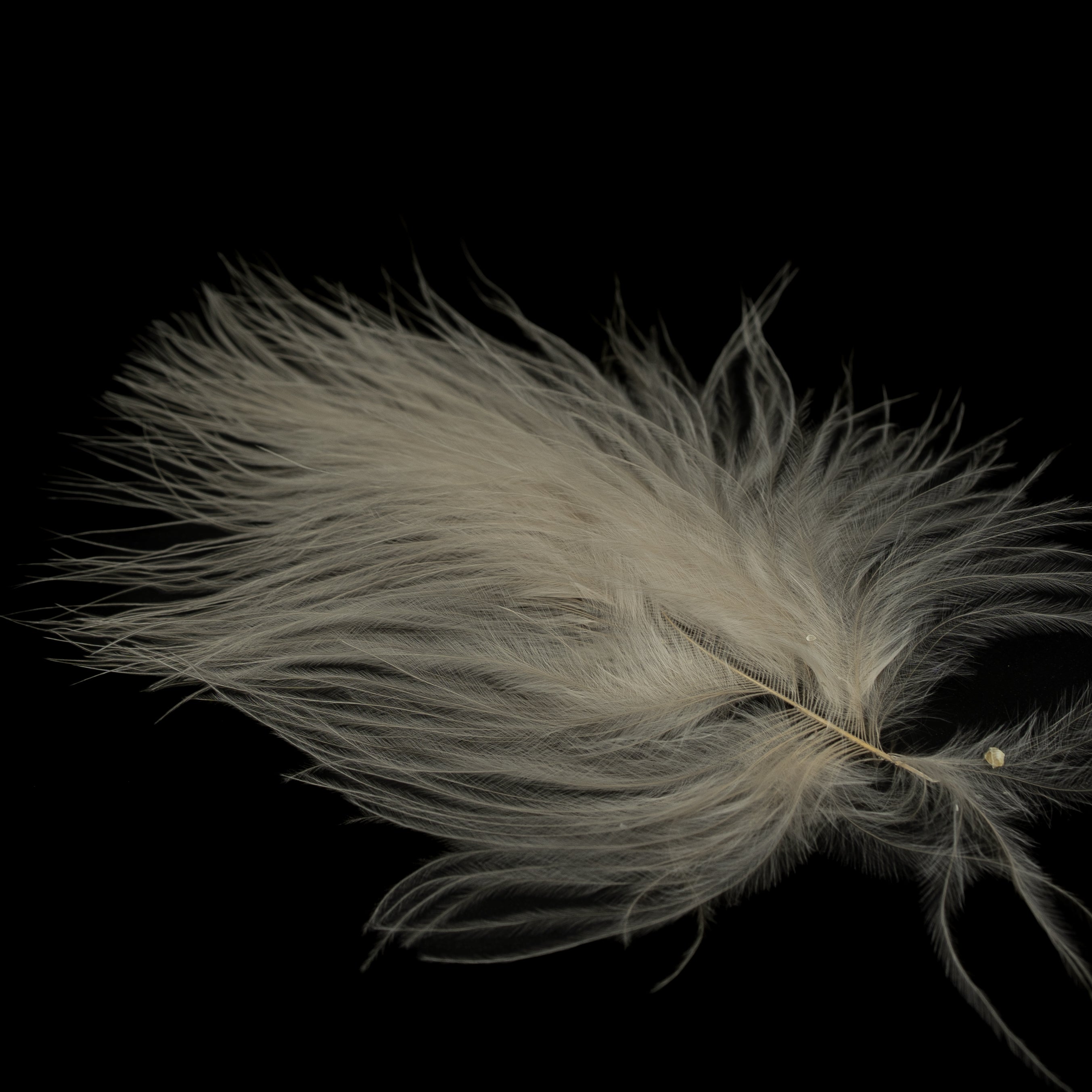 Finatics Premium Loose Marabou – 3" to 5" Plumes- Finatics Fly Company