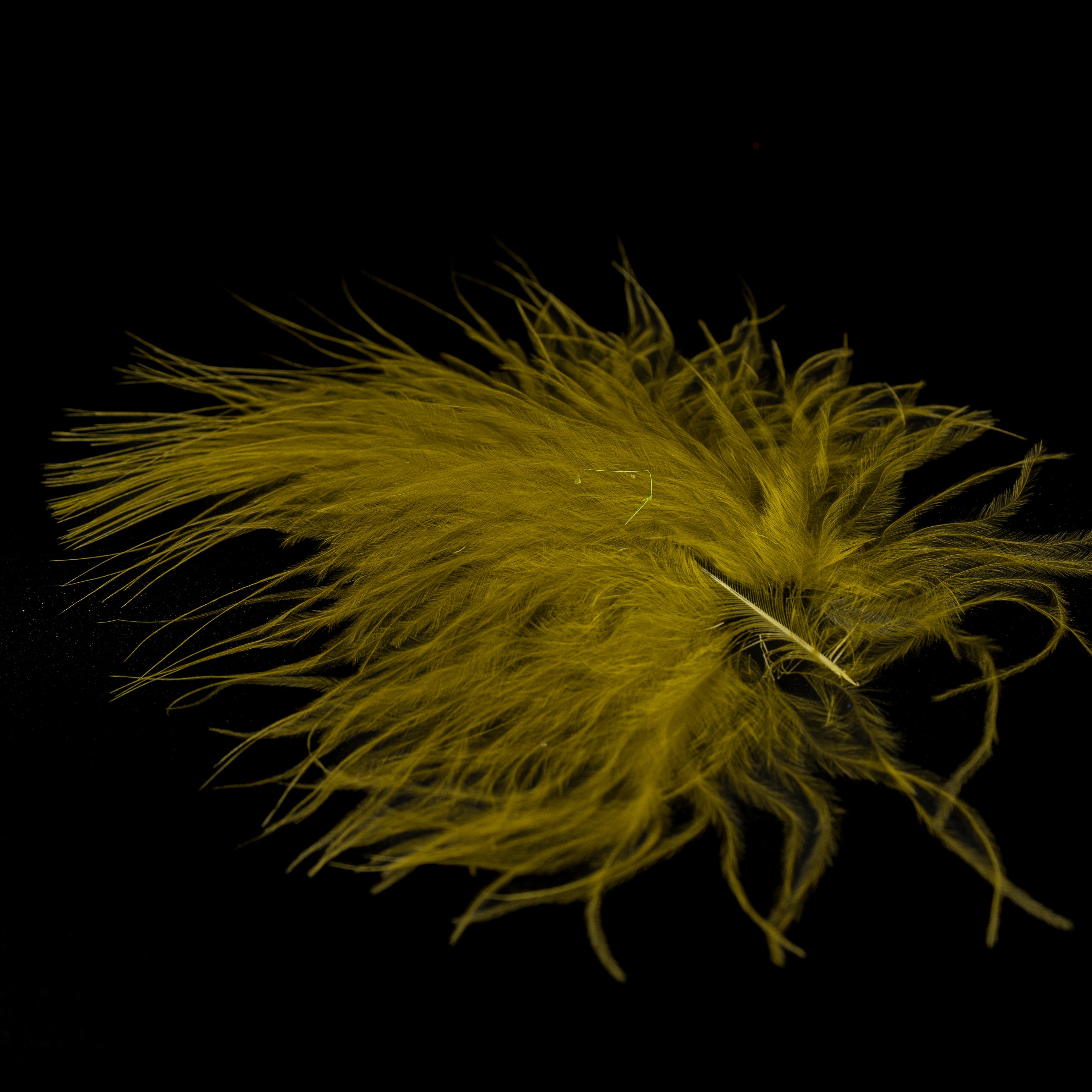 Finatics Premium Loose Marabou – 3" to 5" Plumes- Finatics Fly Company