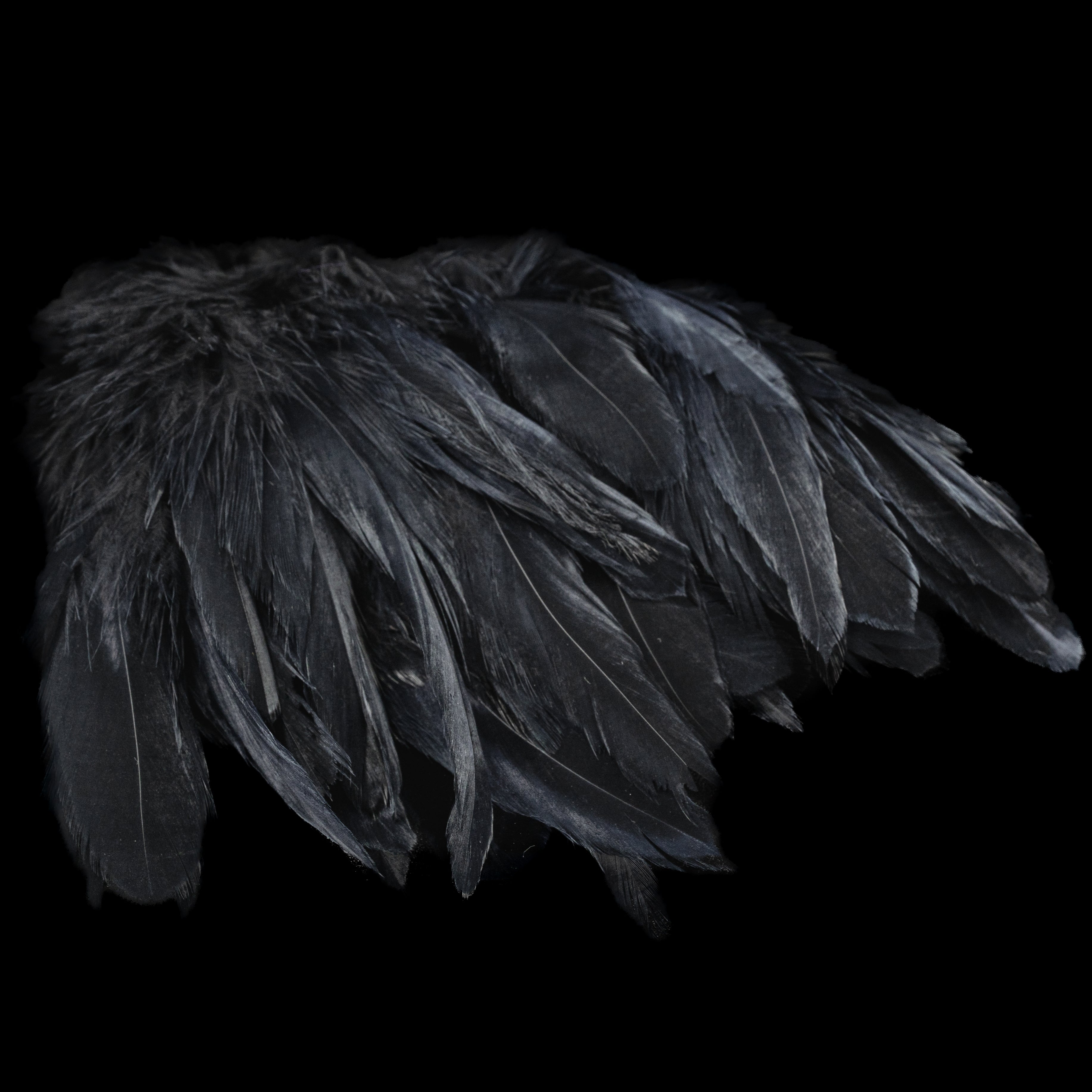 Premium Schlappen (5.5–7.5”)-Finatics Fly Company
