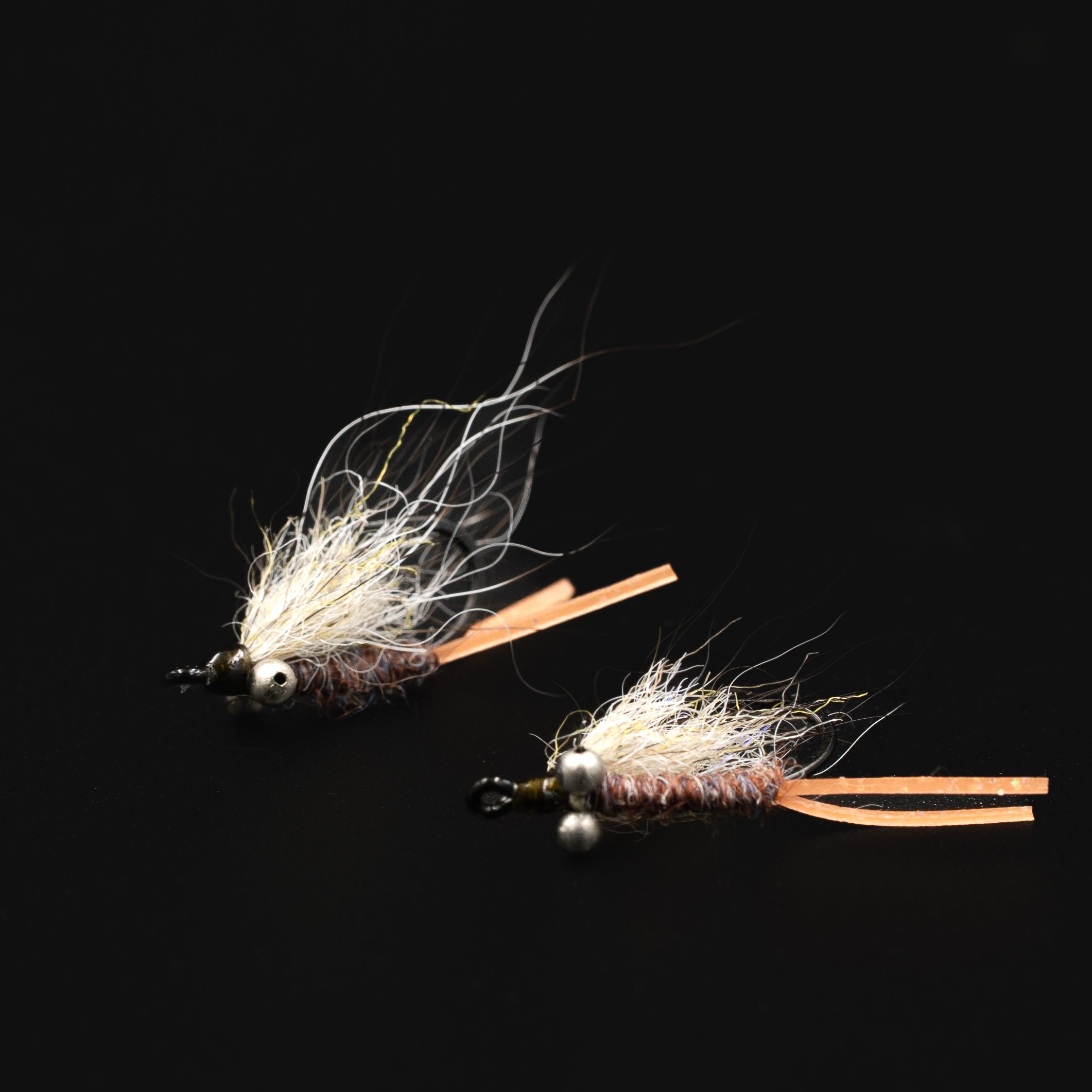 Bonefish Carrot