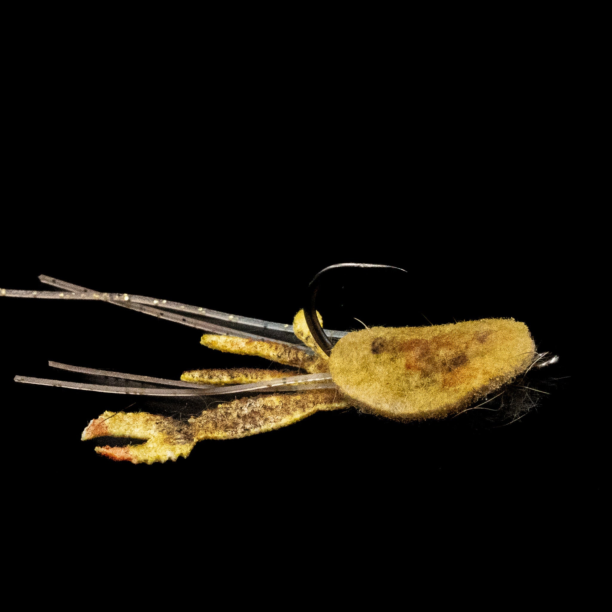 Southernmost Crustacean