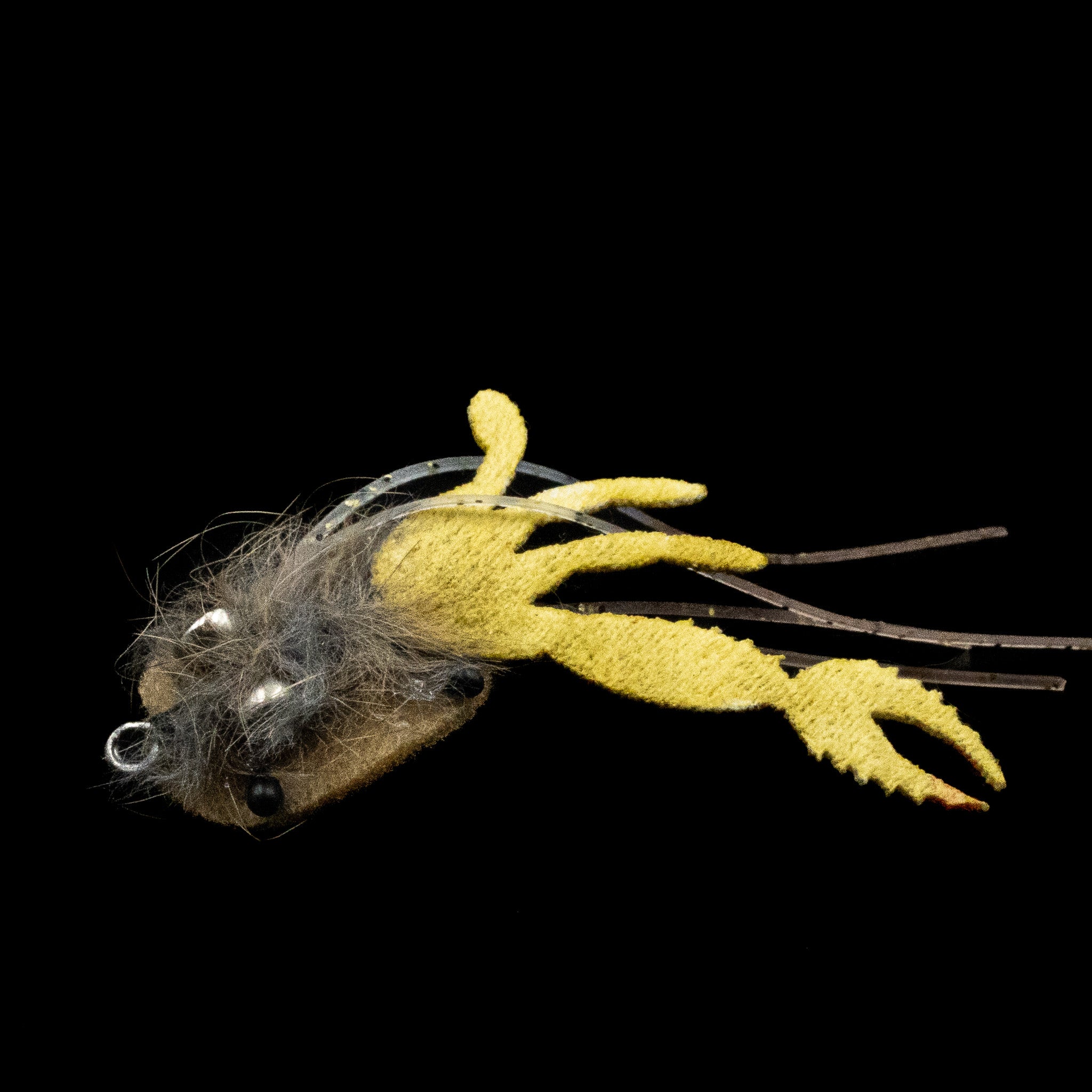 Southernmost Crustacean