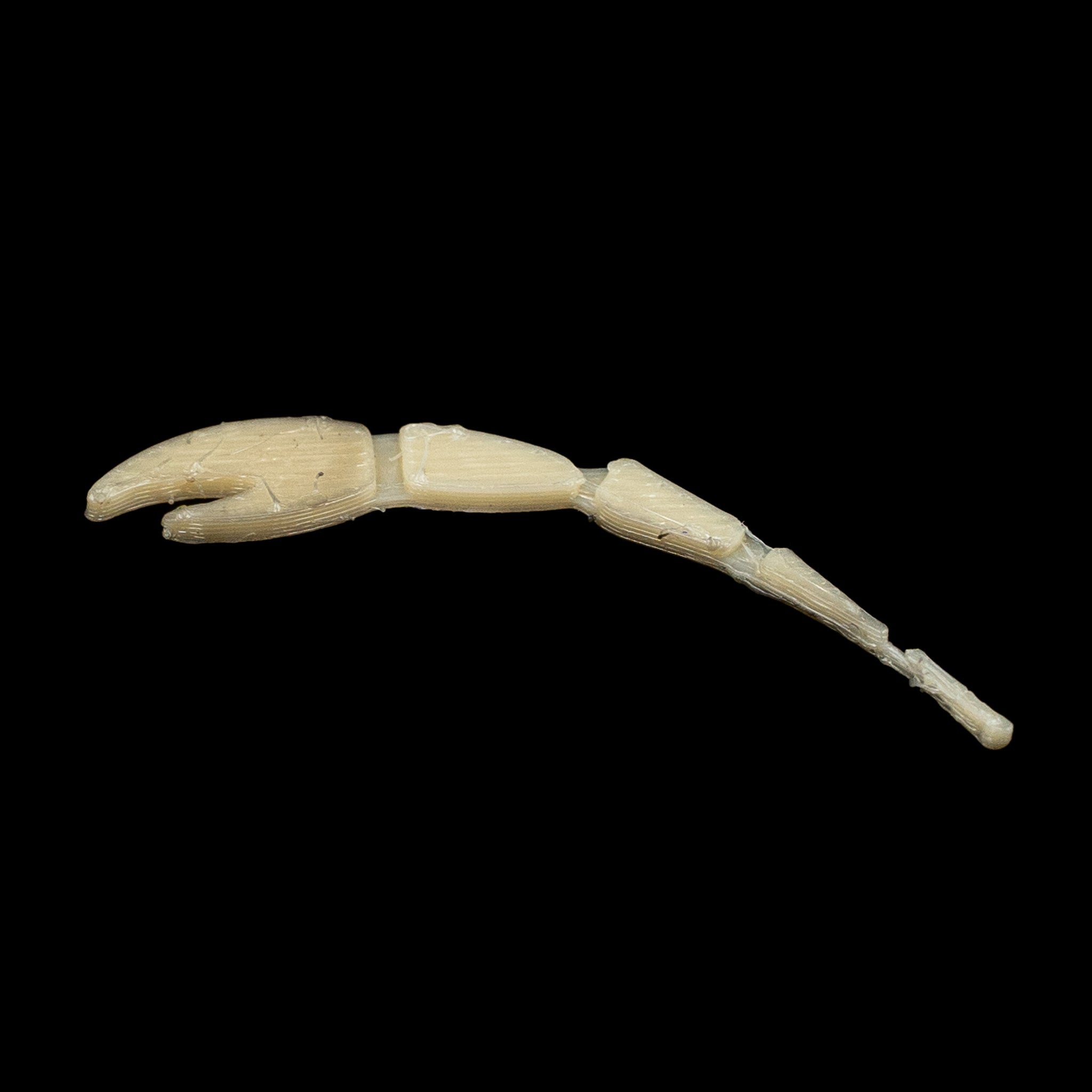 Cajun Strong Arm Merkin – Finatics Fly Company