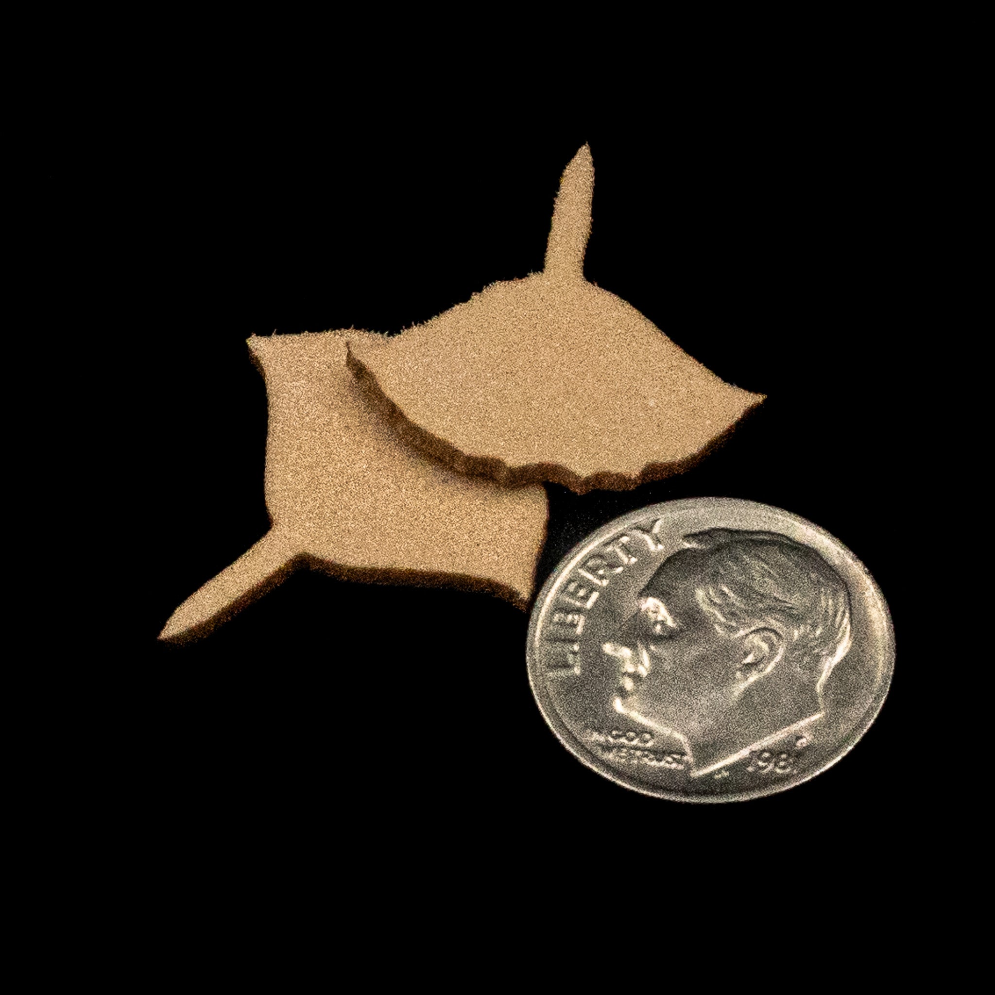 Cajun Blue Crab Foam Cutouts – Finatics Fly Company